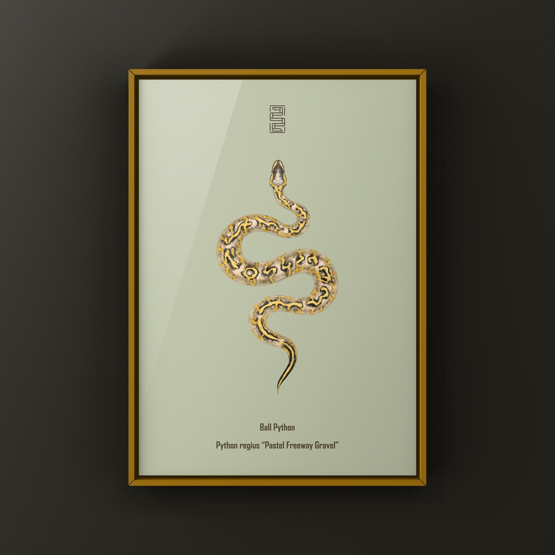 Pastel Freeway Gravel Ball Python art print by The Silk Ranch, featuring detailed reptile illustration on high-quality paper.