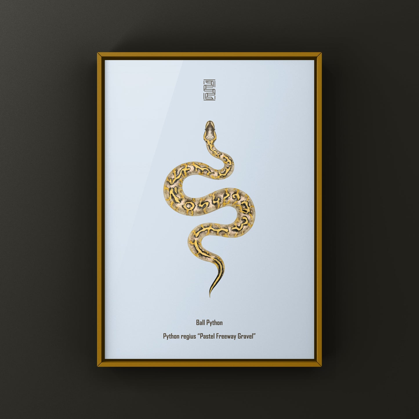 Pastel Freeway Gravel Ball Python art print by The Silk Ranch featuring detailed snake illustration on quality paper.