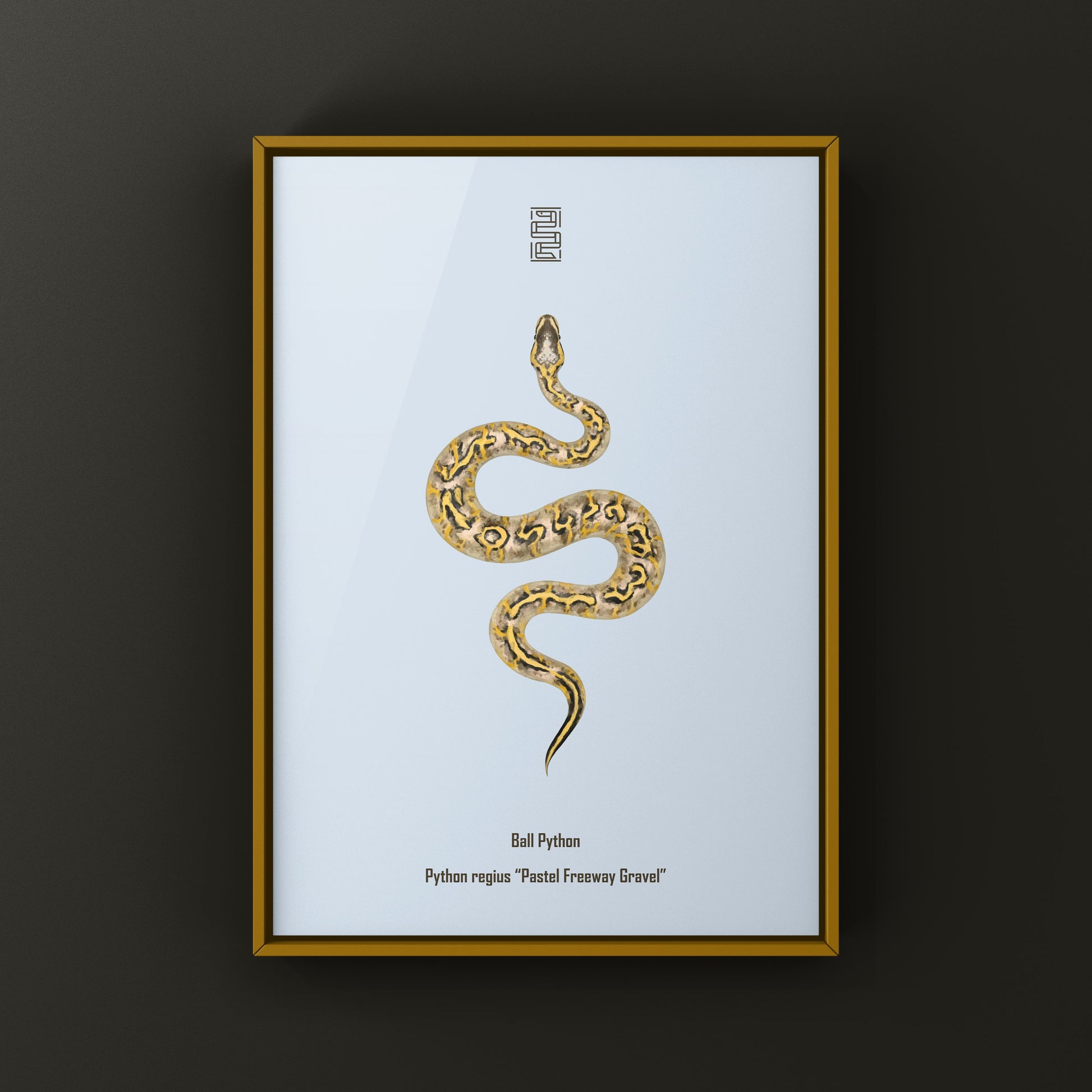 Pastel Freeway Gravel Ball Python art print by The Silk Ranch featuring detailed snake illustration on quality paper.
