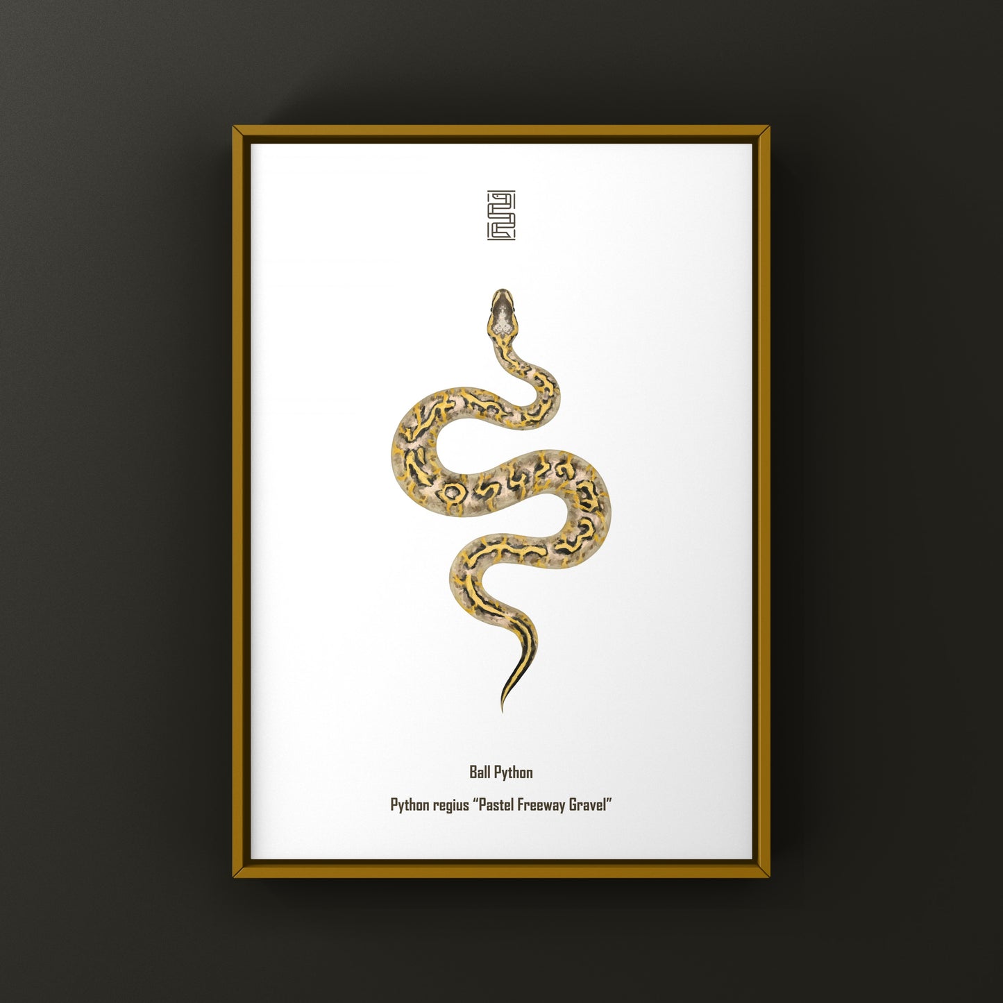 Pastel Freeway Gravel Ball Python art print by The Silk Ranch showing vibrant python patterns on high-quality paper.