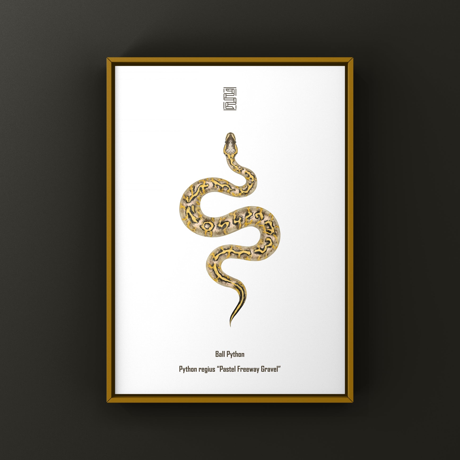 Pastel Freeway Gravel Ball Python art print by The Silk Ranch showing vibrant python patterns on high-quality paper.