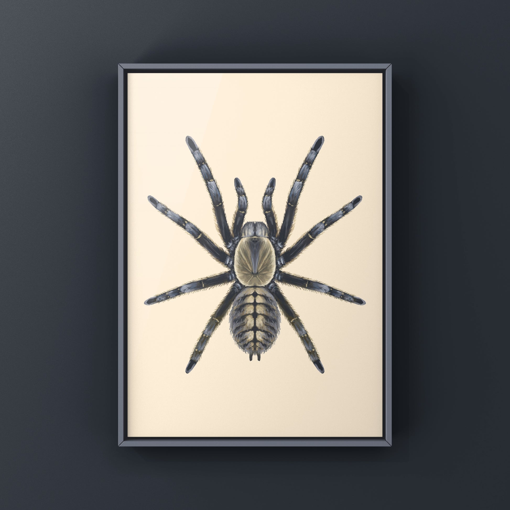 Colorful art print of an Nhen Dep Earth Tiger Tarantula (Ornithoctoninae sp. Nhen Dep) by The Silk Ranch, showcasing detailed spider artwork.