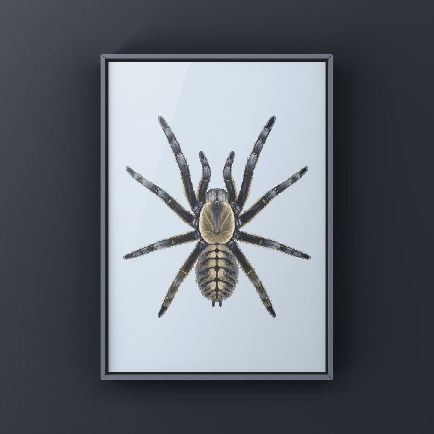 Art print of a Nhen Dep Earth Tiger Tarantula (Ornithoctoninae sp. Nhen Dep) featuring detailed, realistic spider artwork.