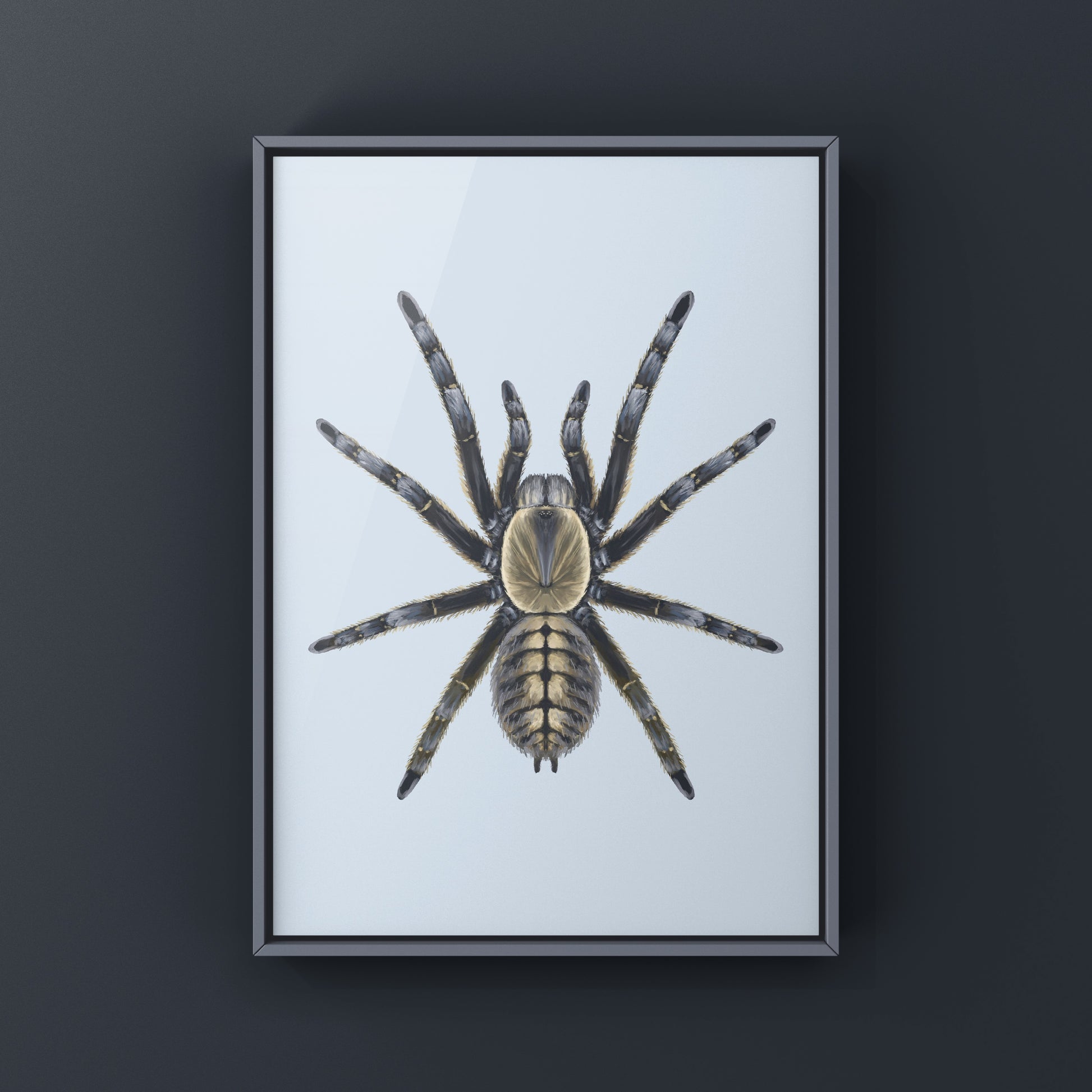 Art print of a Nhen Dep Earth Tiger Tarantula (Ornithoctoninae sp. Nhen Dep) featuring detailed, realistic spider artwork.