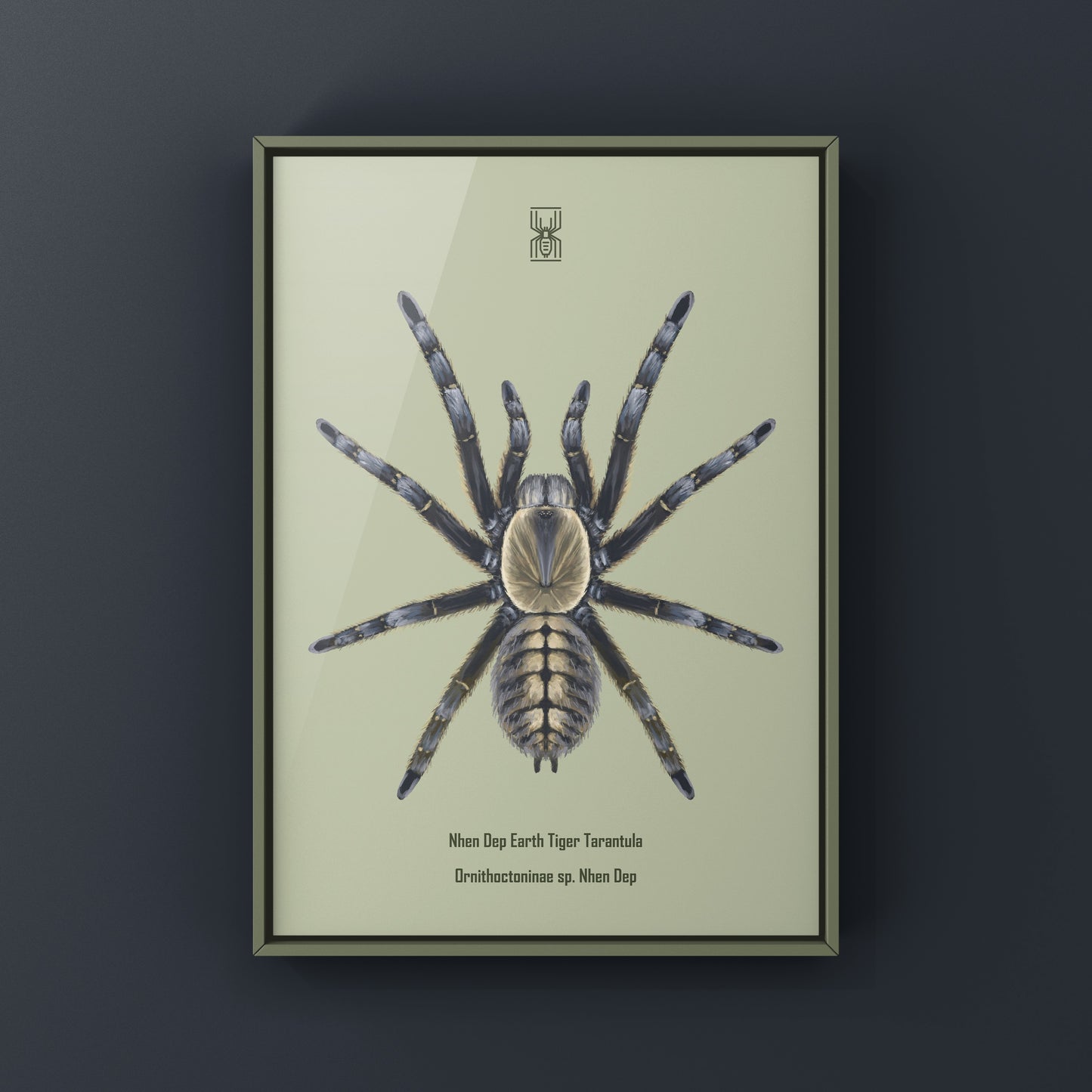 Art print of a Nhen Dep Earth Tiger Tarantula (Ornithoctoninae sp. Nhen Dep) showcasing detailed spider artwork by The Silk Ranch