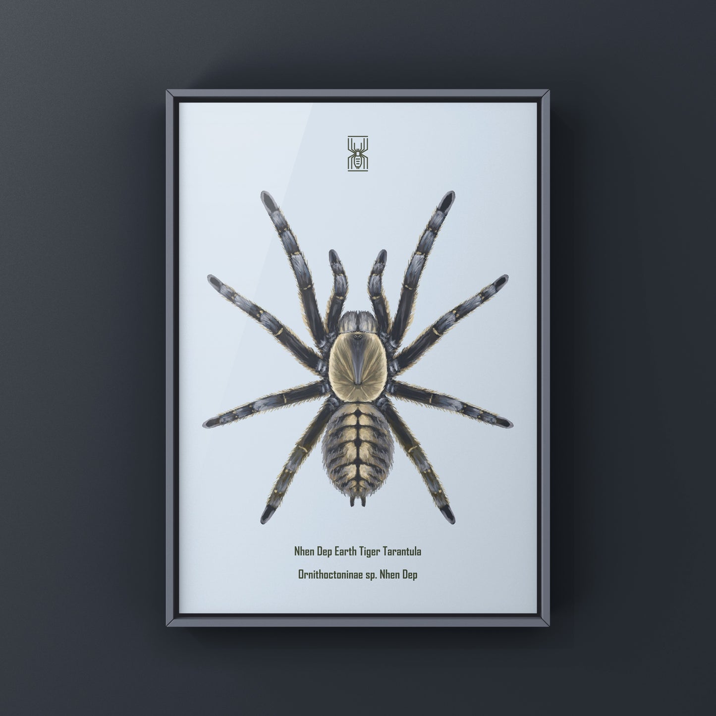 Colorful art print of a Nhen Dep Earth Tiger Tarantula (Ornithoctoninae sp. Nhen Dep) showcasing detailed spider illustration.