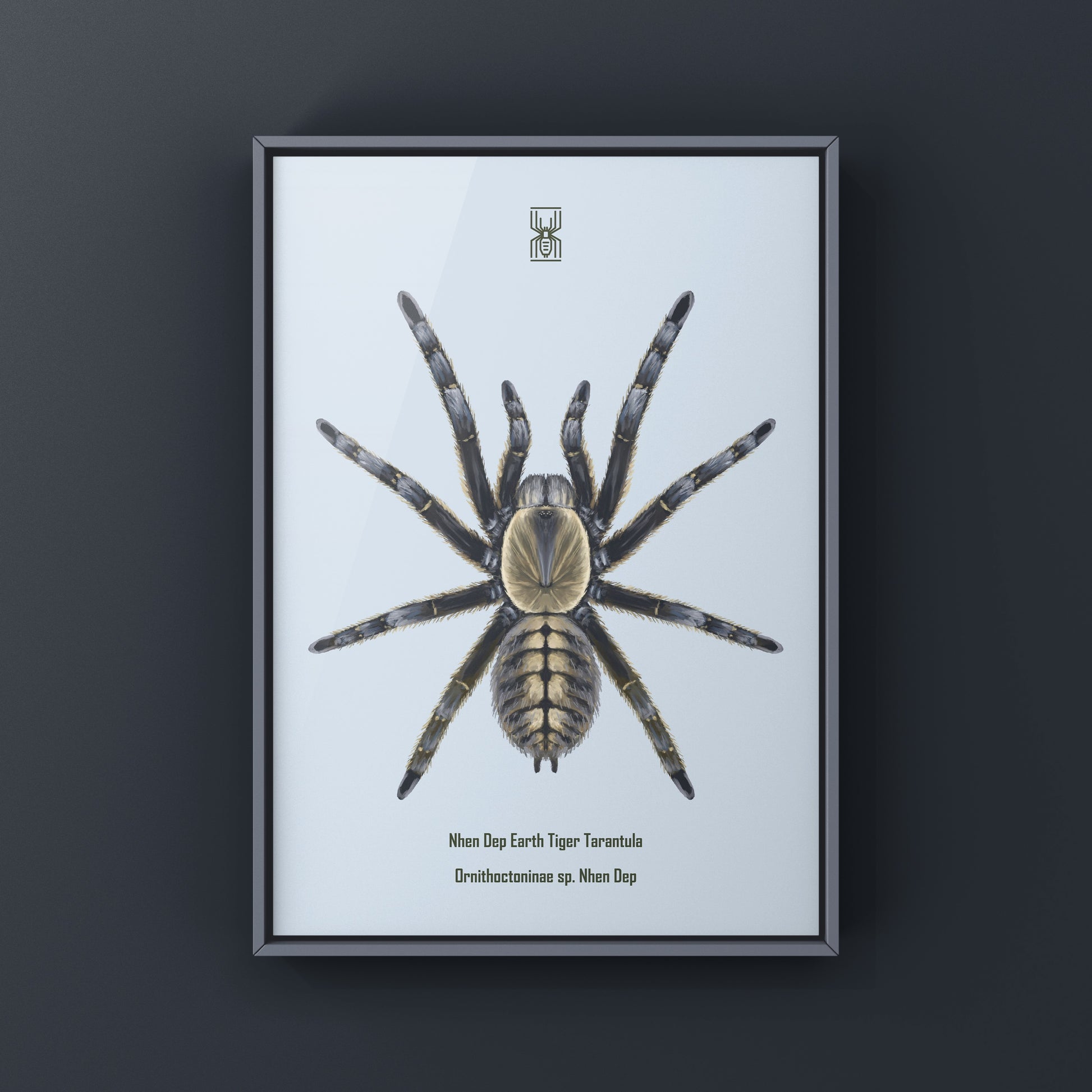 Colorful art print of a Nhen Dep Earth Tiger Tarantula (Ornithoctoninae sp. Nhen Dep) showcasing detailed spider illustration.