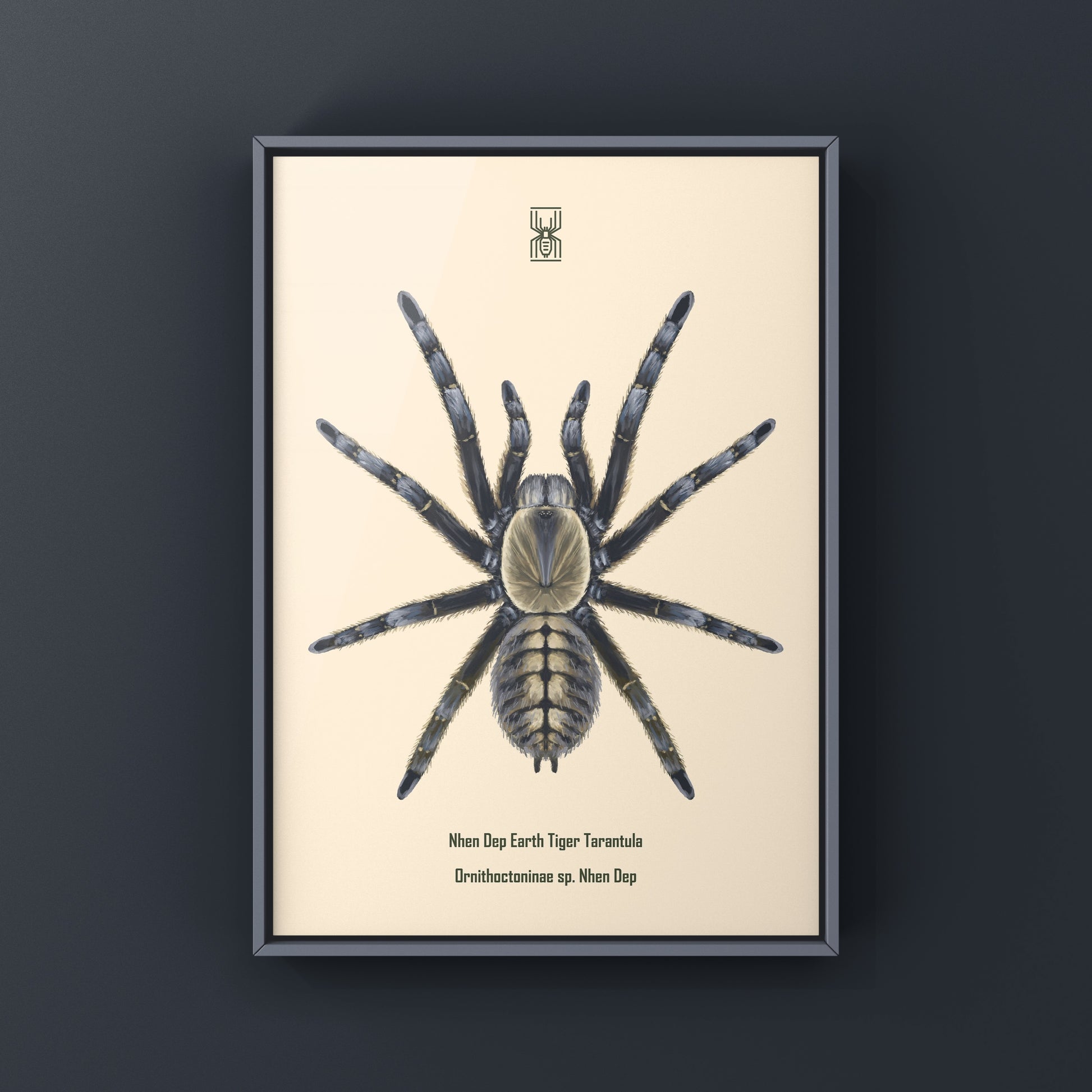 Art print of a Nhen Dep Earth Tiger Tarantula (Ornithoctoninae sp. Nhen Dep) by The Silk Ranch, showcasing detailed spider illustration.