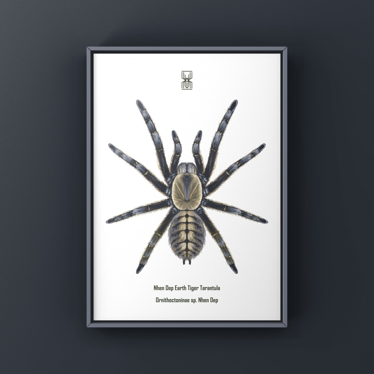 Art print of a Nhen Dep Earth Tiger Tarantula (Ornithoctoninae sp. Nhen Dep) by The Silk Ranch, showcasing detailed spider artwork.