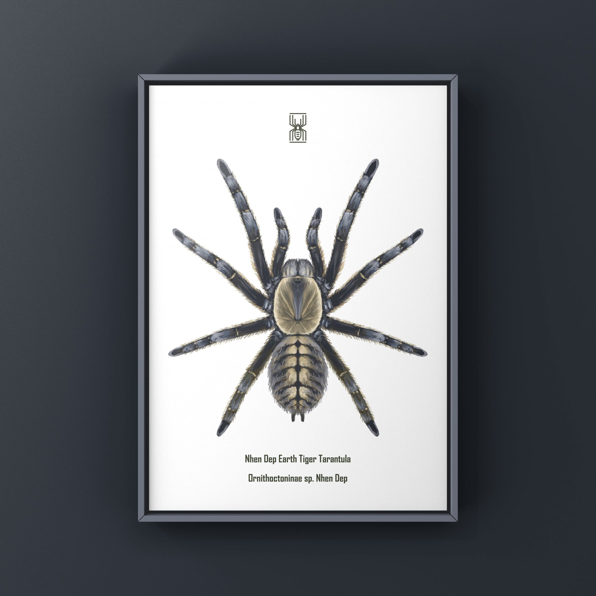 Art print of a Nhen Dep Earth Tiger Tarantula (Ornithoctoninae sp. Nhen Dep) by The Silk Ranch, showcasing detailed spider artwork.