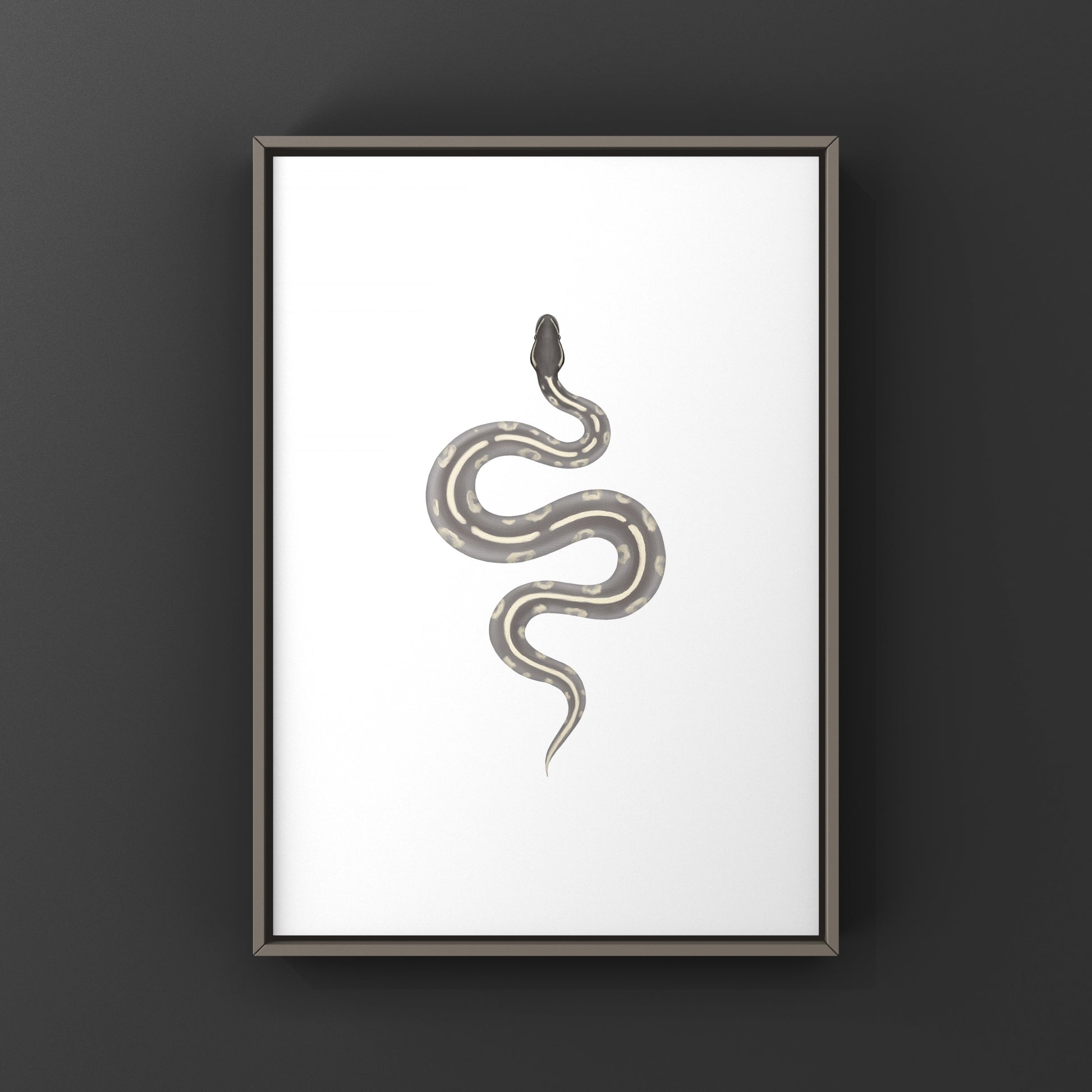 Mystic Potion Ball Python art print by The Silk Ranch featuring vibrant python artwork on high-quality paper.