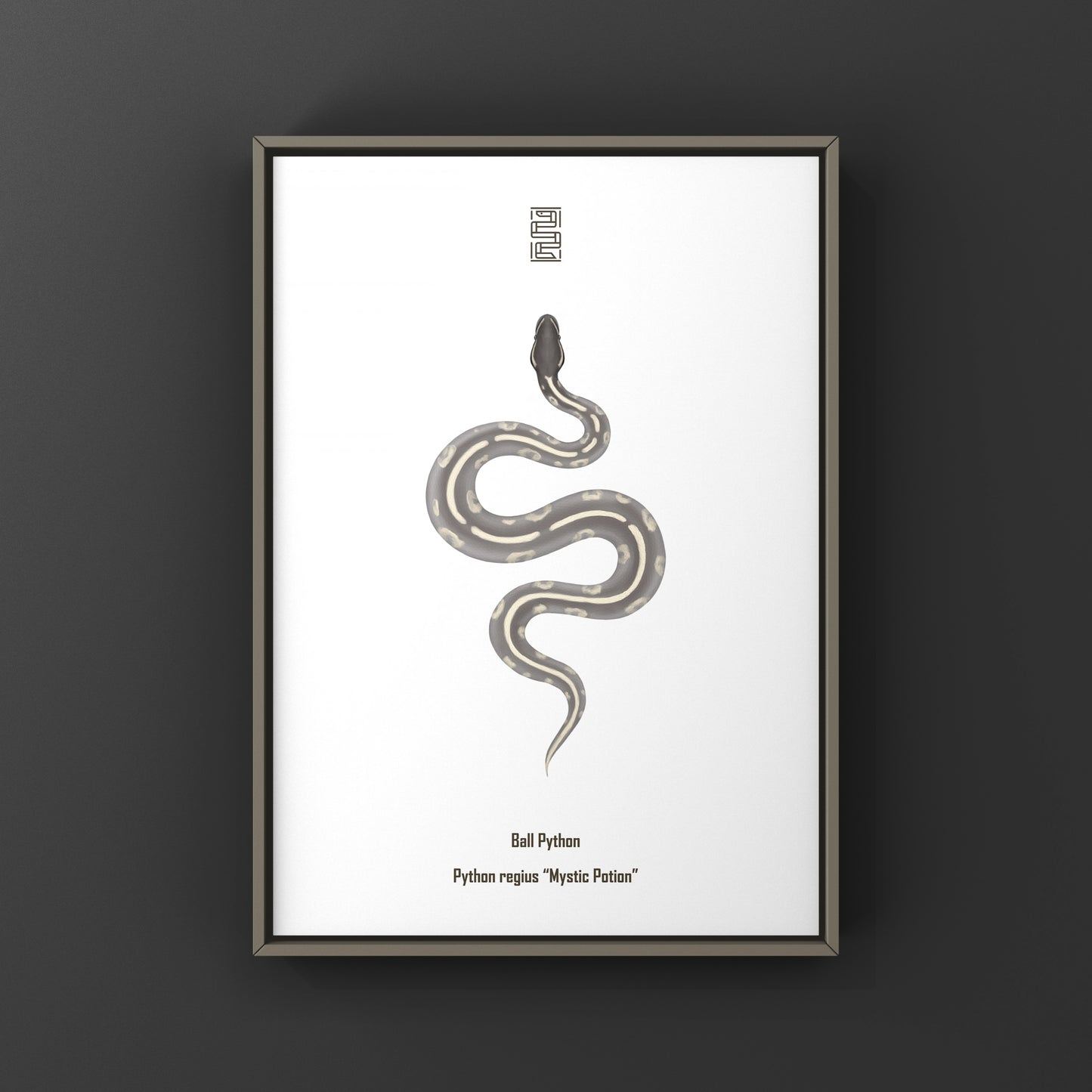 Mystic Potion Ball Python art print by The Silk Ranch featuring detailed illustration of a Python regius snake on textured paper.