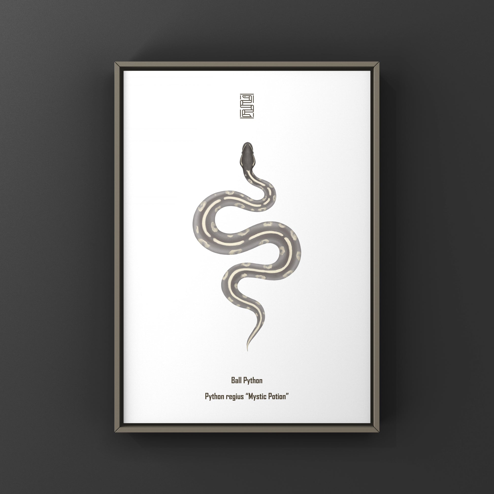Mystic Potion Ball Python art print by The Silk Ranch featuring detailed illustration of a Python regius snake on textured paper.