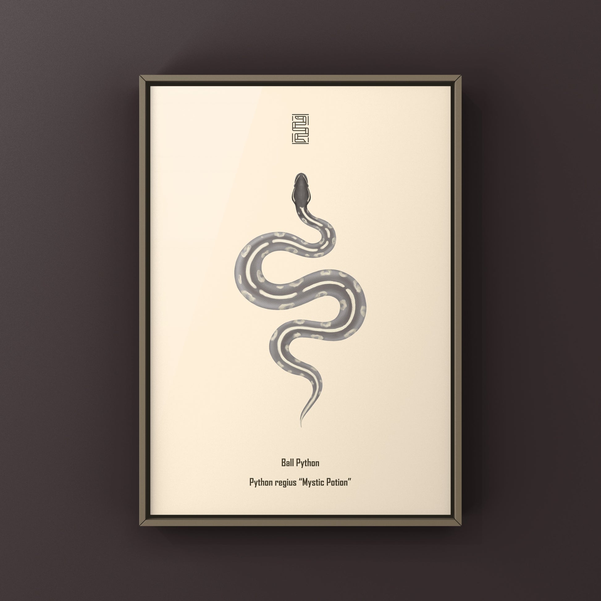 Mystic Potion Ball Python art print by The Silk Ranch featuring detailed illustration of a Python regius snake on textured paper