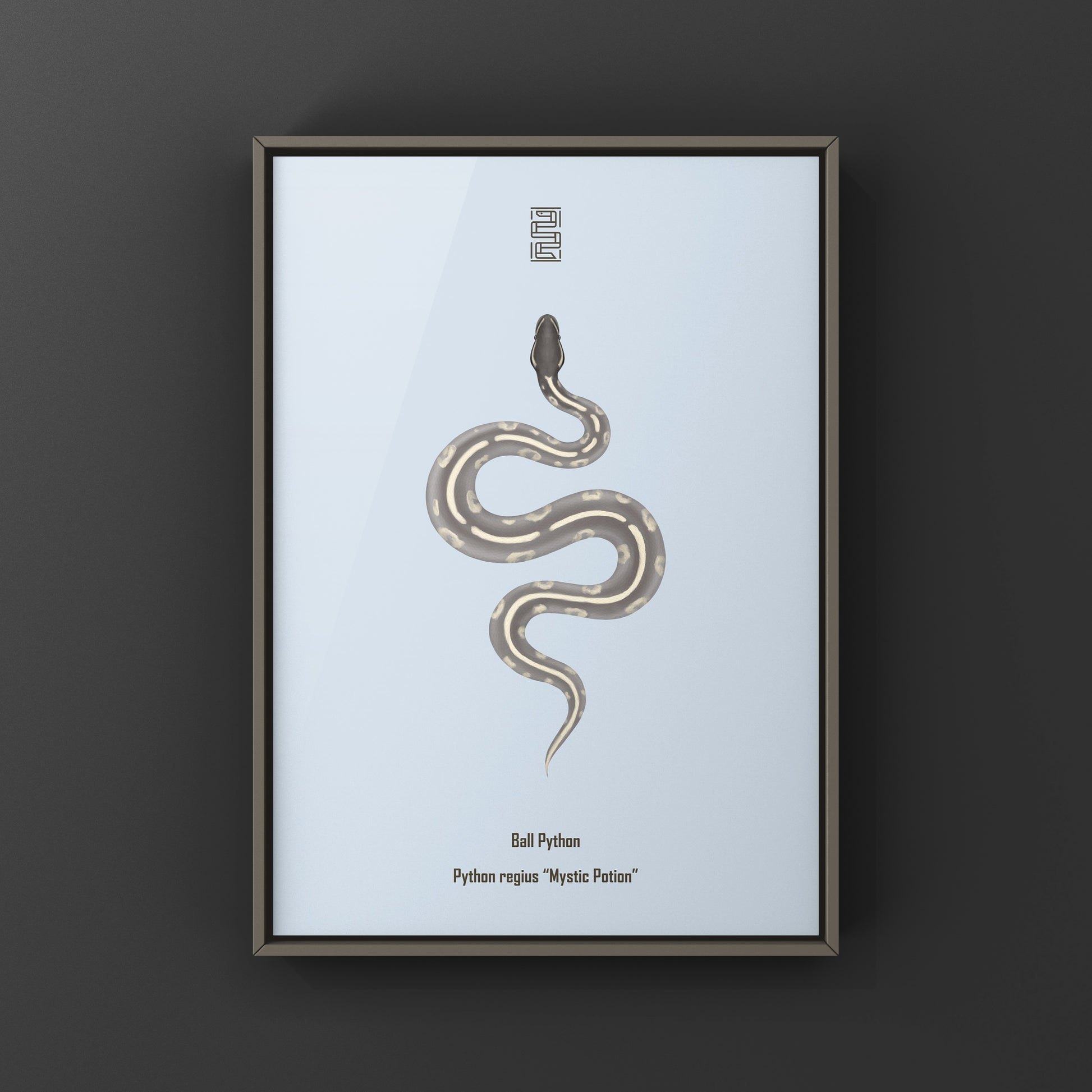 Mystic Potion Ball Python art print by The Silk Ranch featuring a detailed illustration of a Python regius snake.