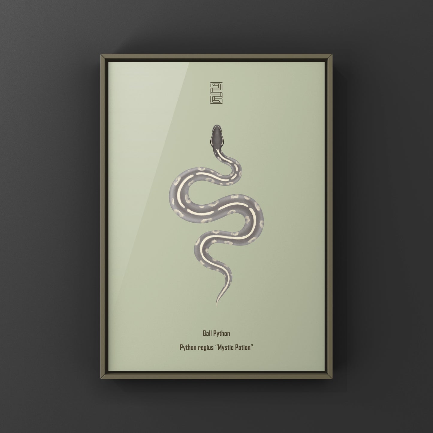 Mystic Potion Ball Python art print featuring vibrant, detailed illustrations of Python regius by The Silk Ranch.