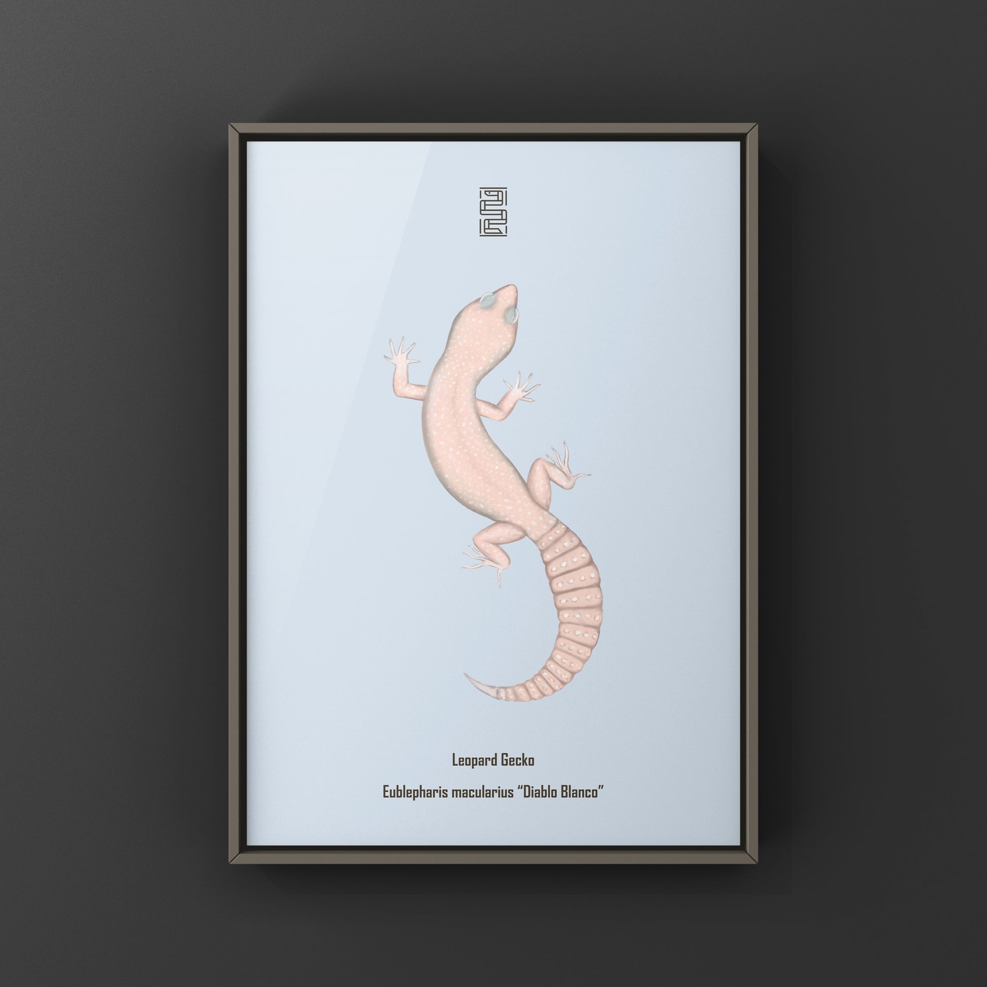 Diablo Blanco leopard gecko art print by The Silk Ranch featuring detailed illustration of a leopard gecko on white background.