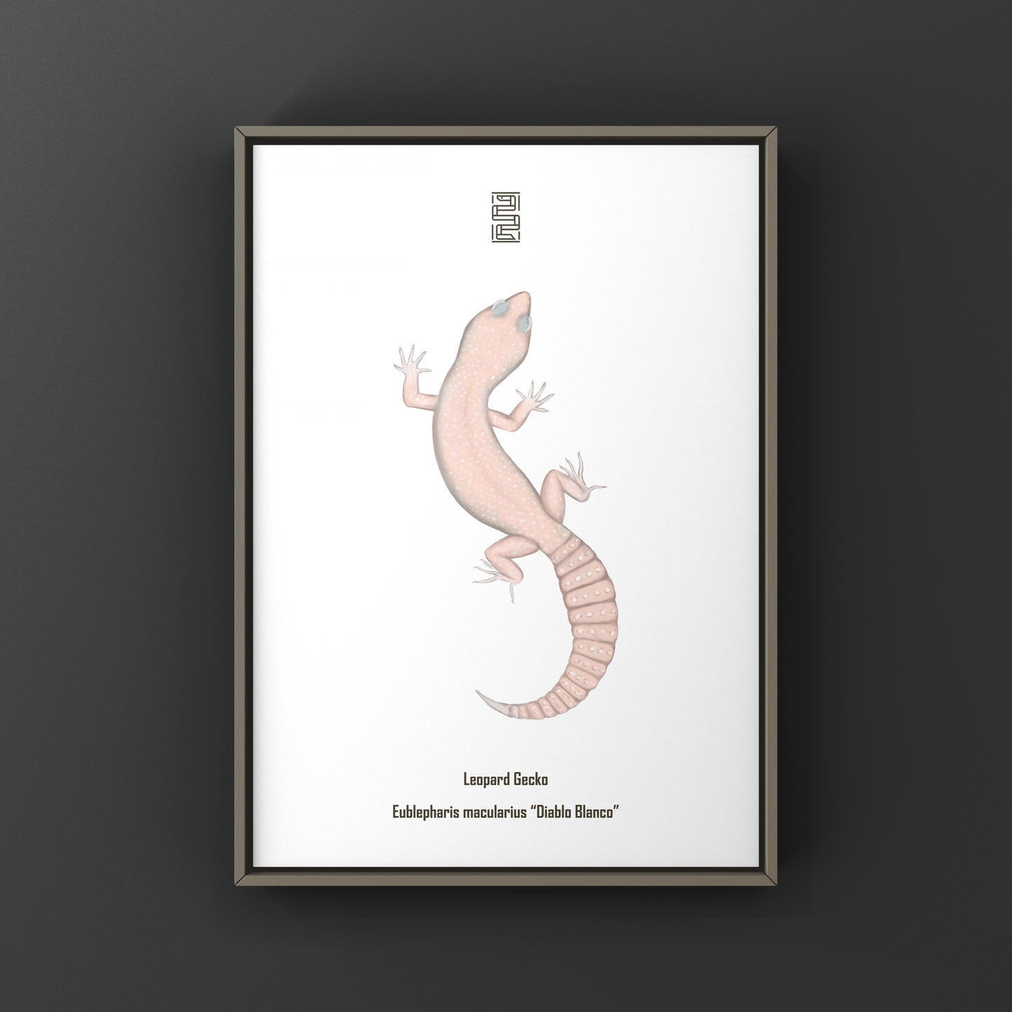 Colorful Diablo Blanco Leopard Gecko art print by The Silk Ranch featuring detailed leopard gecko illustration on high-quality paper.
