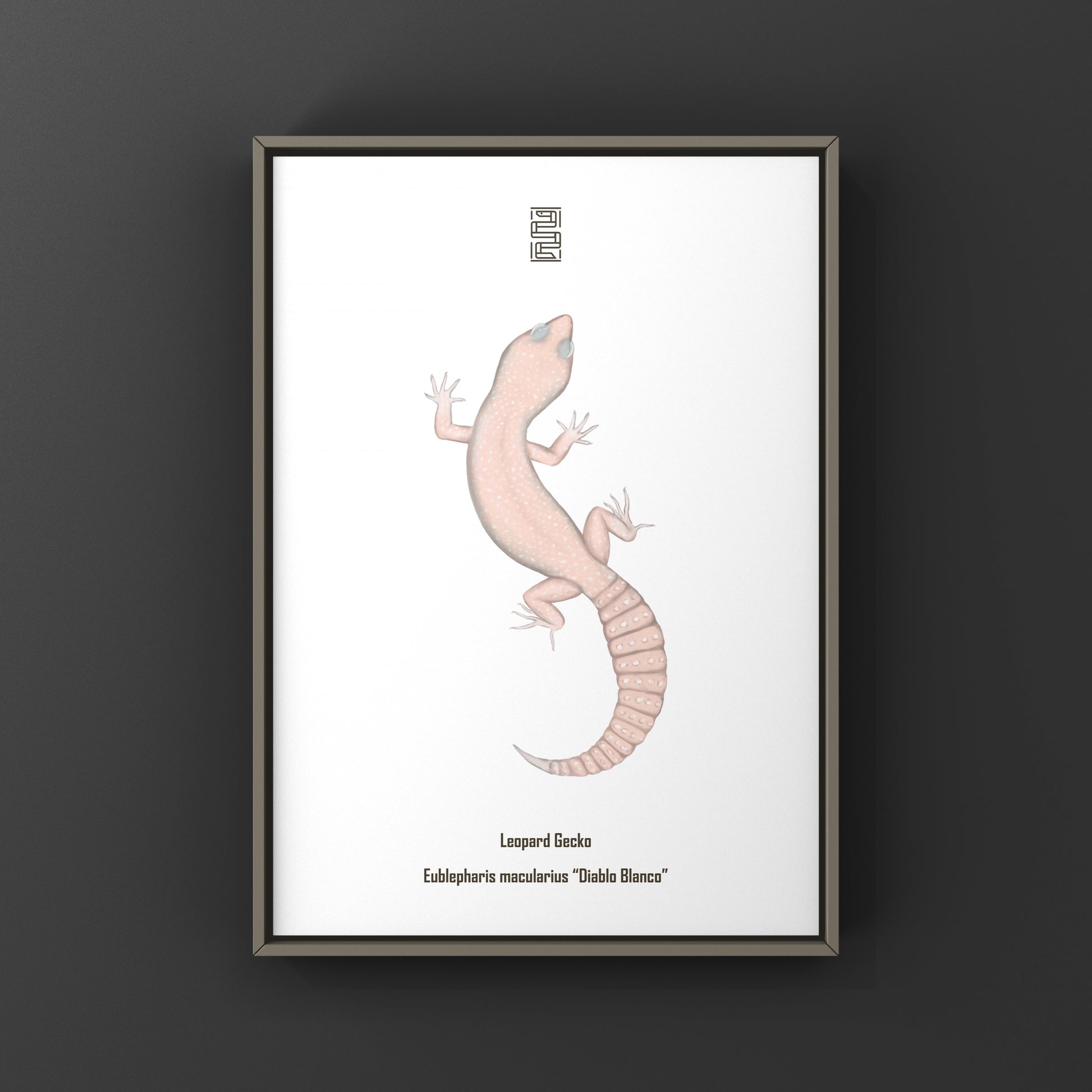 Colorful Diablo Blanco Leopard Gecko art print by The Silk Ranch featuring detailed leopard gecko illustration on high-quality paper.