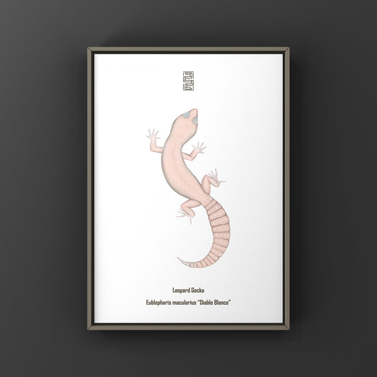 Diablo Blanco Leopard Gecko art print by The Silk Ranch featuring detailed leopard gecko illustration on high-quality paper.