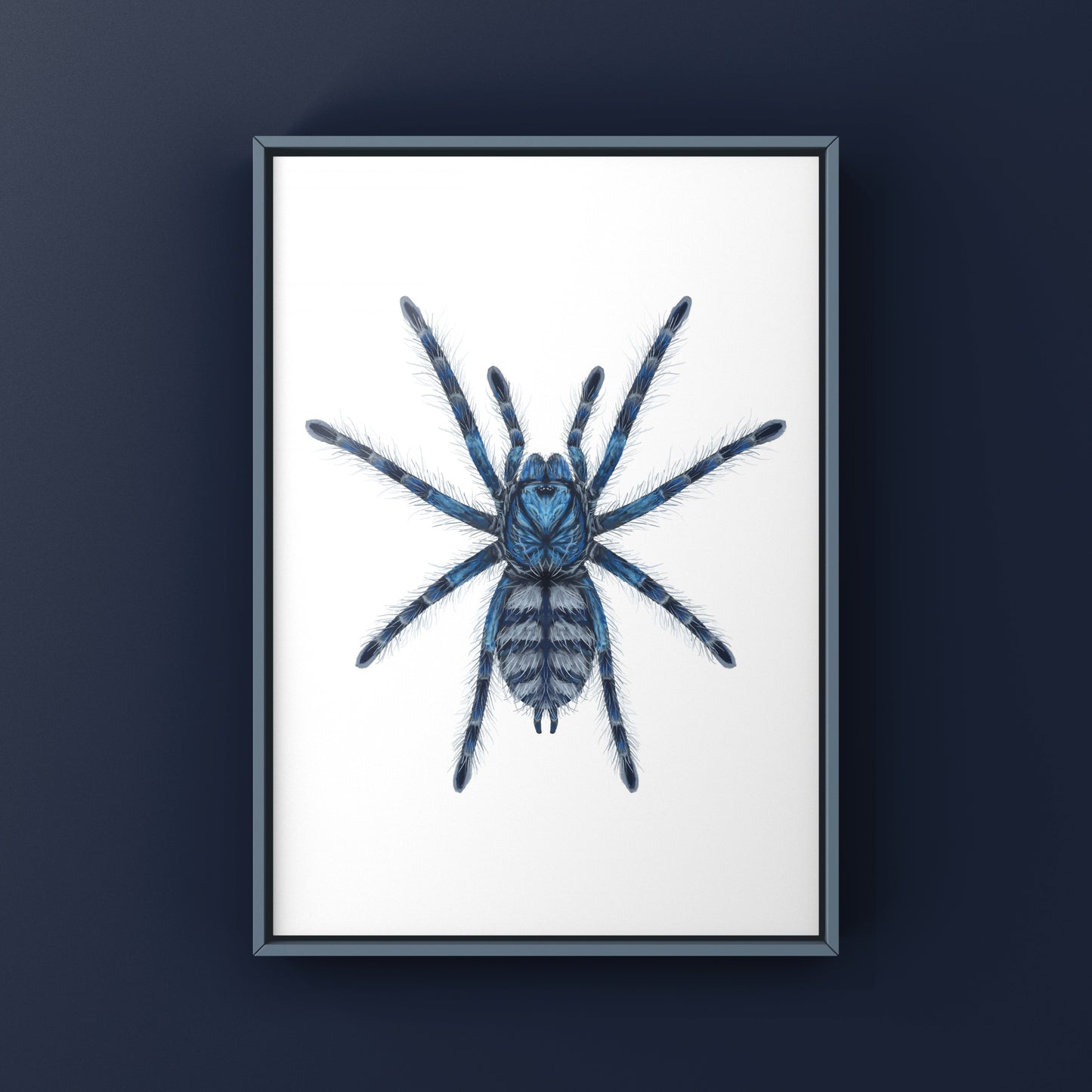 Art print of a Caribena versicolor Antilles Pinktoe Tarantula spiderling, showcasing vibrant pink and blue coloration on a neutral background.