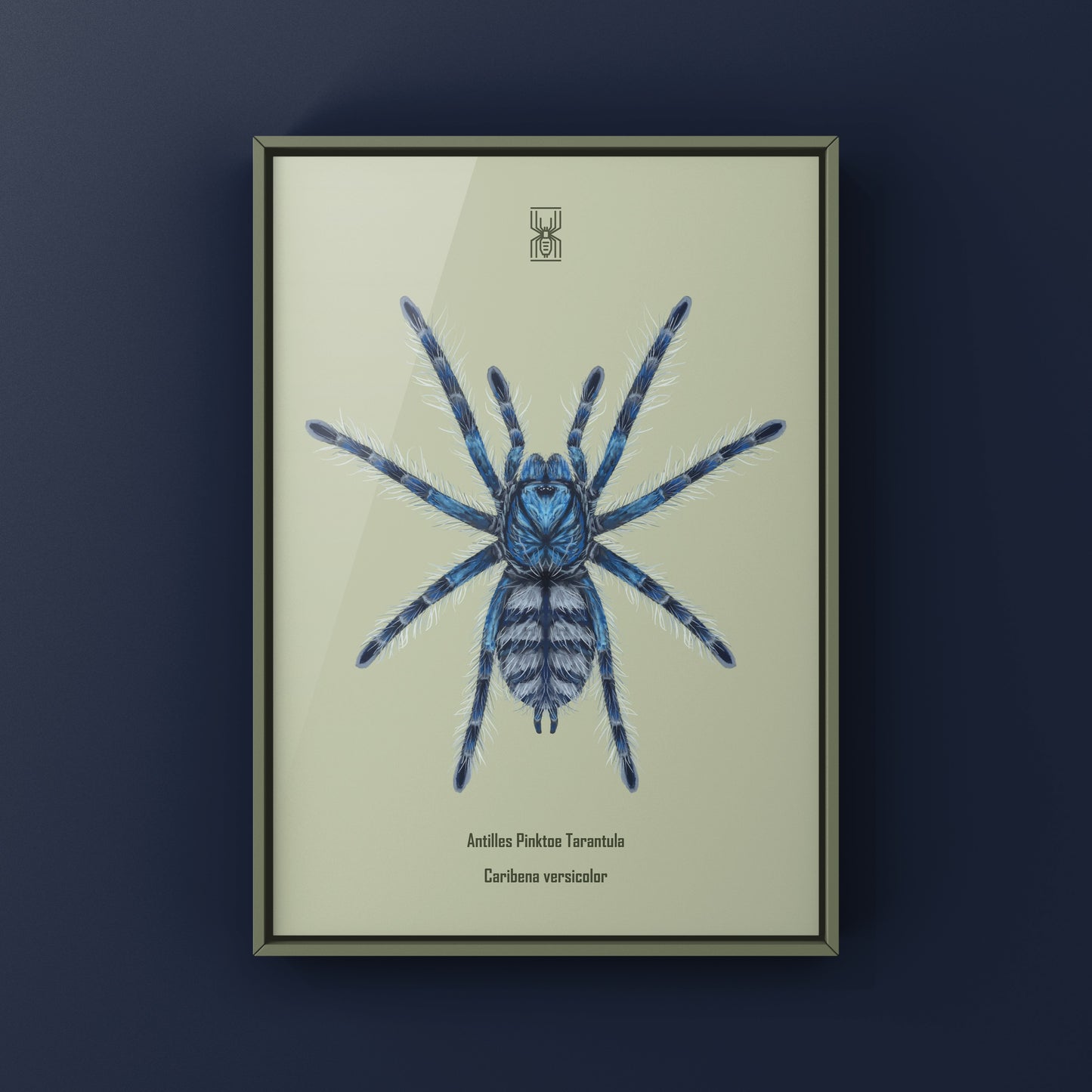 Colorful art print of a Caribena versicolor Antilles Pinktoe Tarantula spiderling by The Silk Ranch.