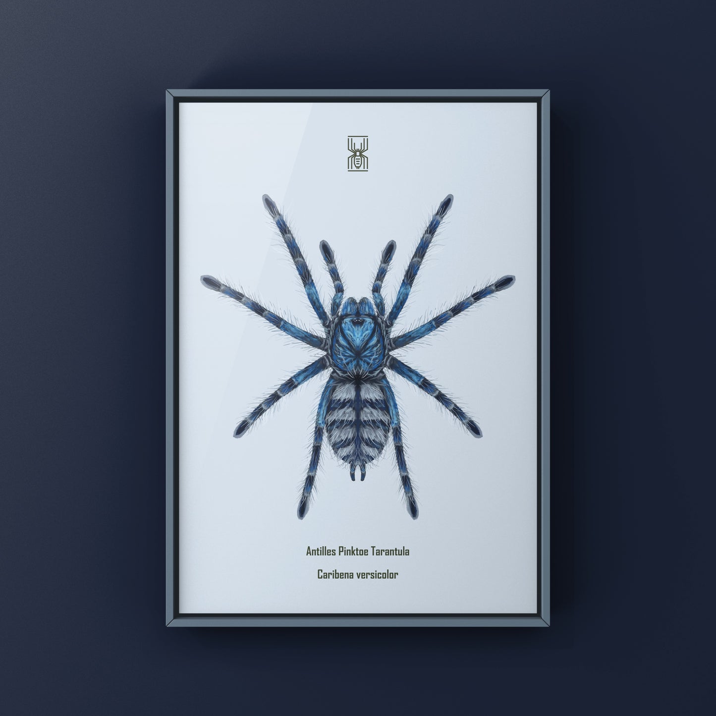 Colorful art print of a Caribena versicolor Antilles Pinktoe Tarantula spiderling by The Silk Ranch, showcasing vibrant details.