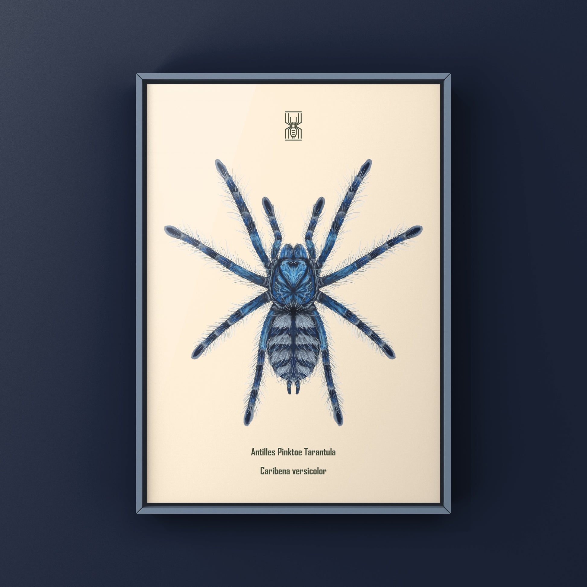 Colorful art print of a Caribena versicolor Antilles Pinktoe Tarantula spiderling by The Silk Ranch, showcasing vibrant details.