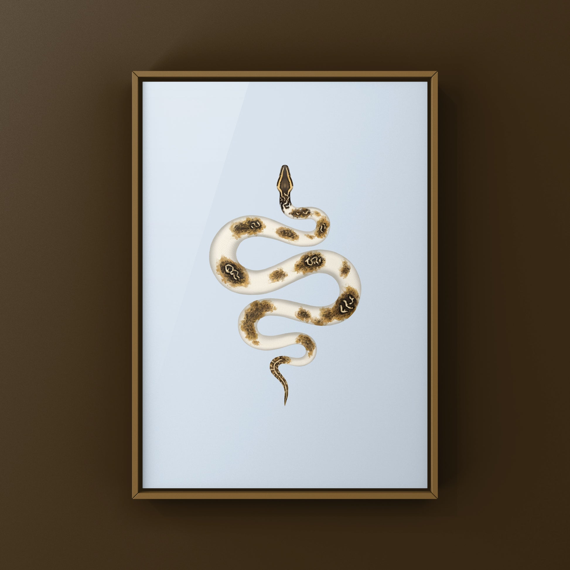 Piebald Burmese Python art print by The Silk Ranch featuring detailed illustration of the snake's distinctive coloration and pattern.