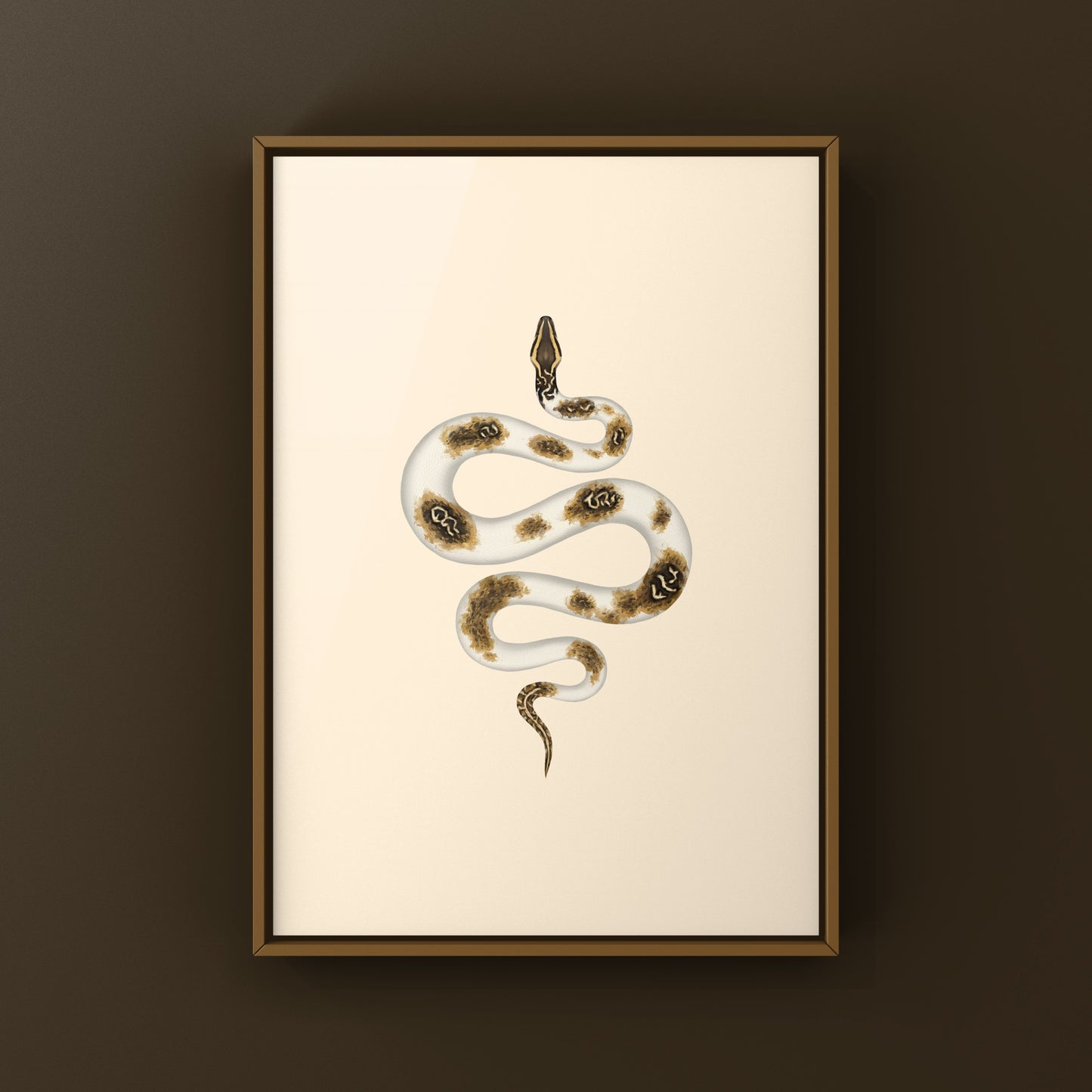 Piebald Burmese Python art print by The Silk Ranch featuring a detailed illustration of the snake's distinctive pattern and colors.