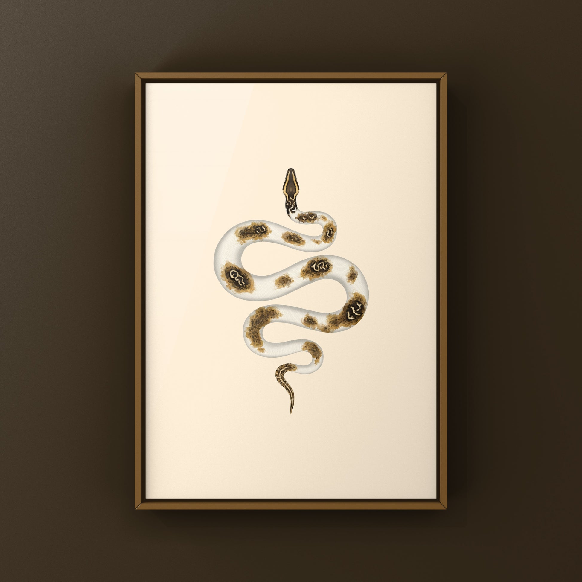 Piebald Burmese Python art print by The Silk Ranch featuring a detailed illustration of the snake's distinctive pattern and colors.