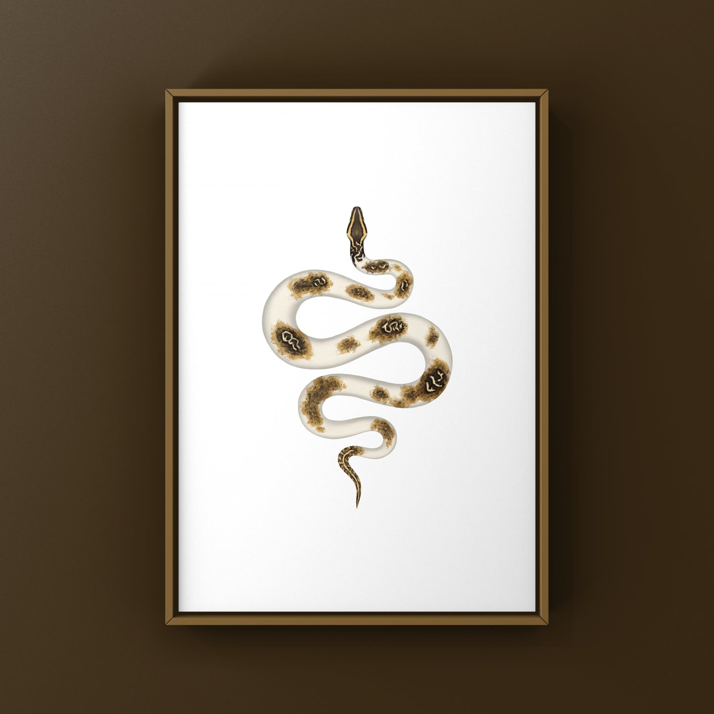 Piebald Burmese Python art print featuring a striking snake with distinctive coloration, displayed in a natural setting.