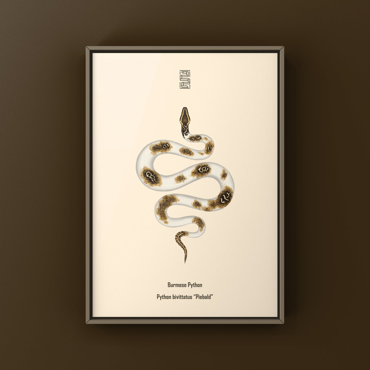 Piebald Burmese Python art print featuring a striking snake illustration on textured paper, showcasing vibrant colors and detailed design.