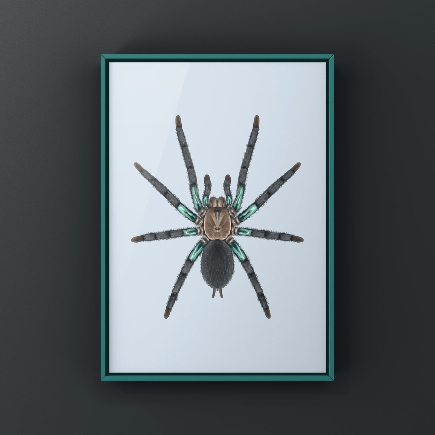 Electric turquoise tarantula art print by The Silk Ranch, showcasing vibrant colors and detailed spider illustration.