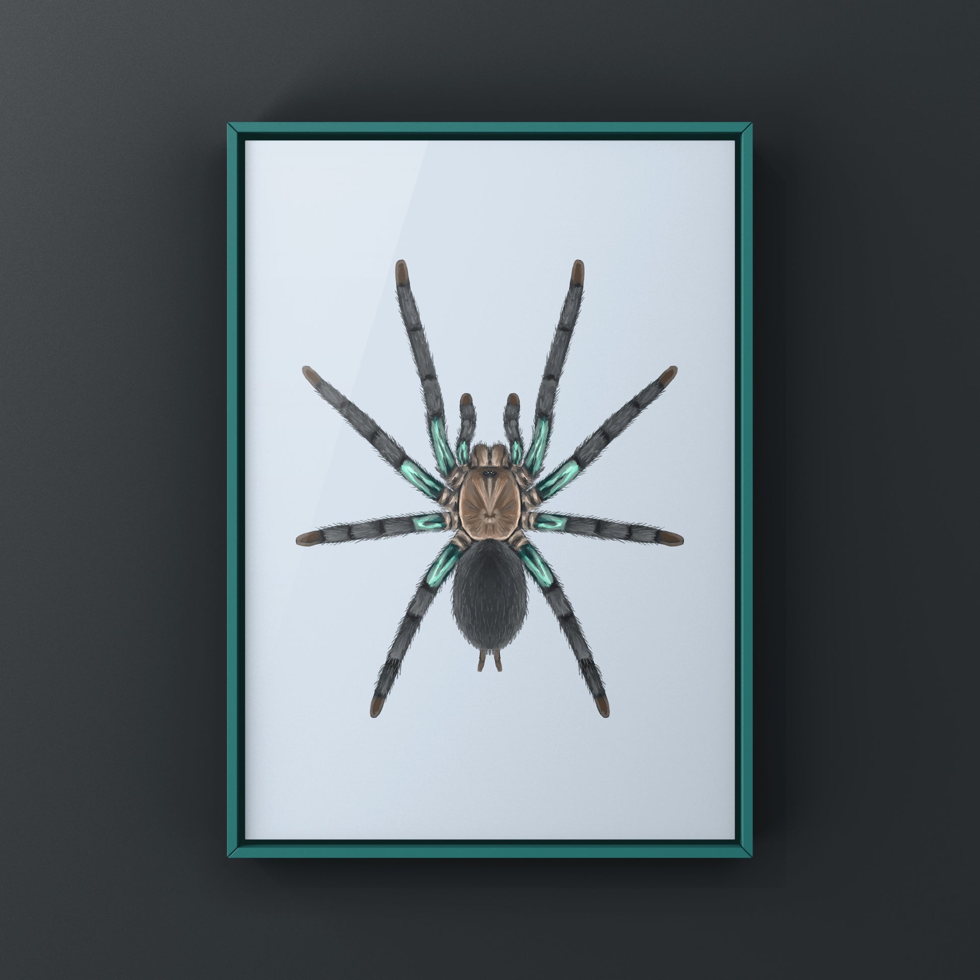 Electric turquoise tarantula art print by The Silk Ranch, showcasing vibrant colors and detailed spider illustration.