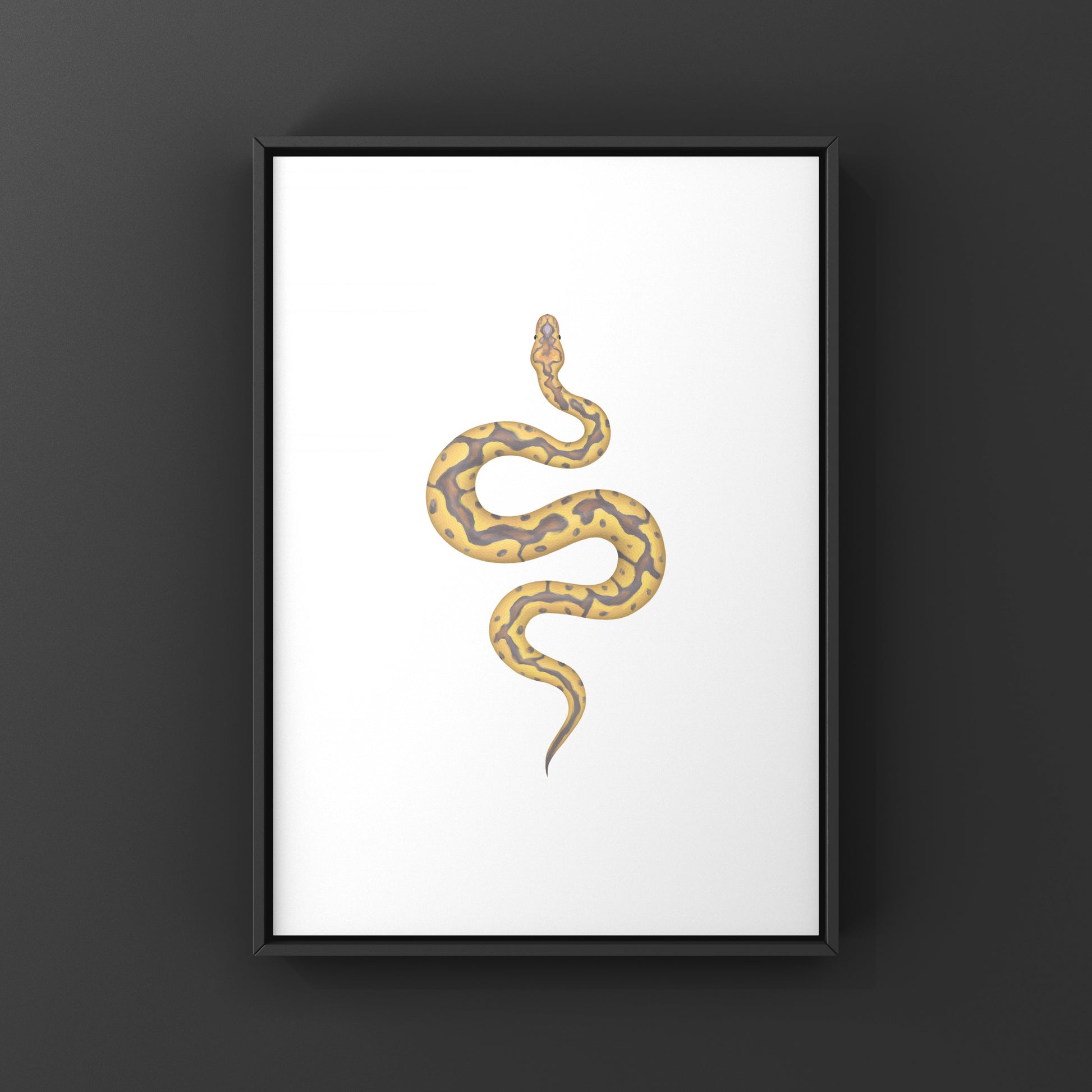 Colorful art print of a Banana Clown Ball Python (Python regius) by The Silk Ranch, showcasing vibrant snake details.