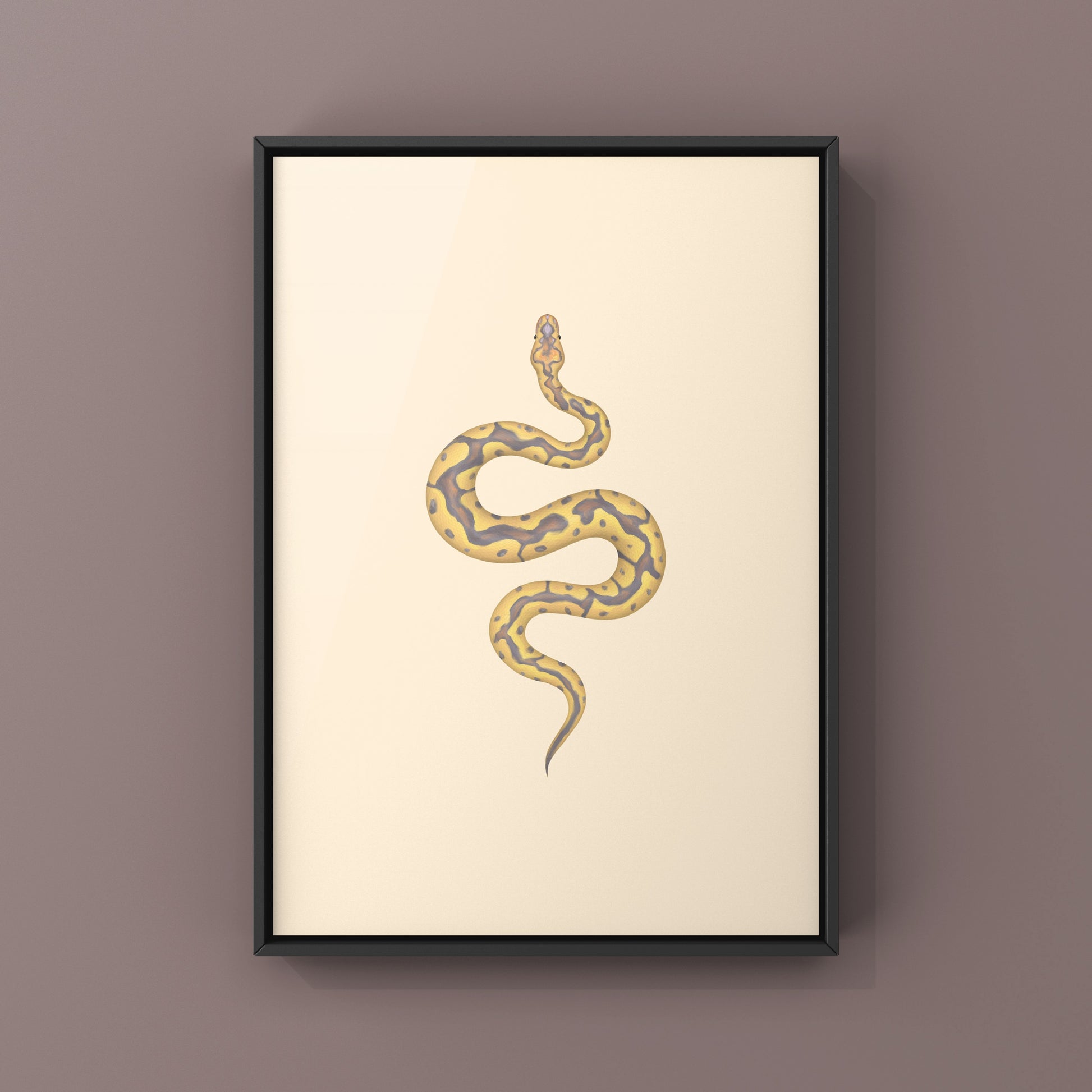 Colorful art print of a Banana Clown Ball Python (Python regius) by The Silk Ranch, showcasing detailed snake illustrations.
