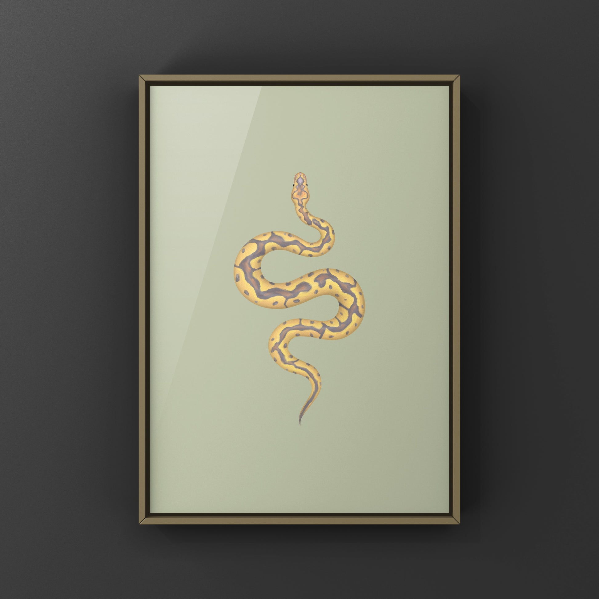 Colorful art print of a Banana Clown Ball Python (Python regius) showcasing vibrant yellow and black patterns, by The Silk Ranch.