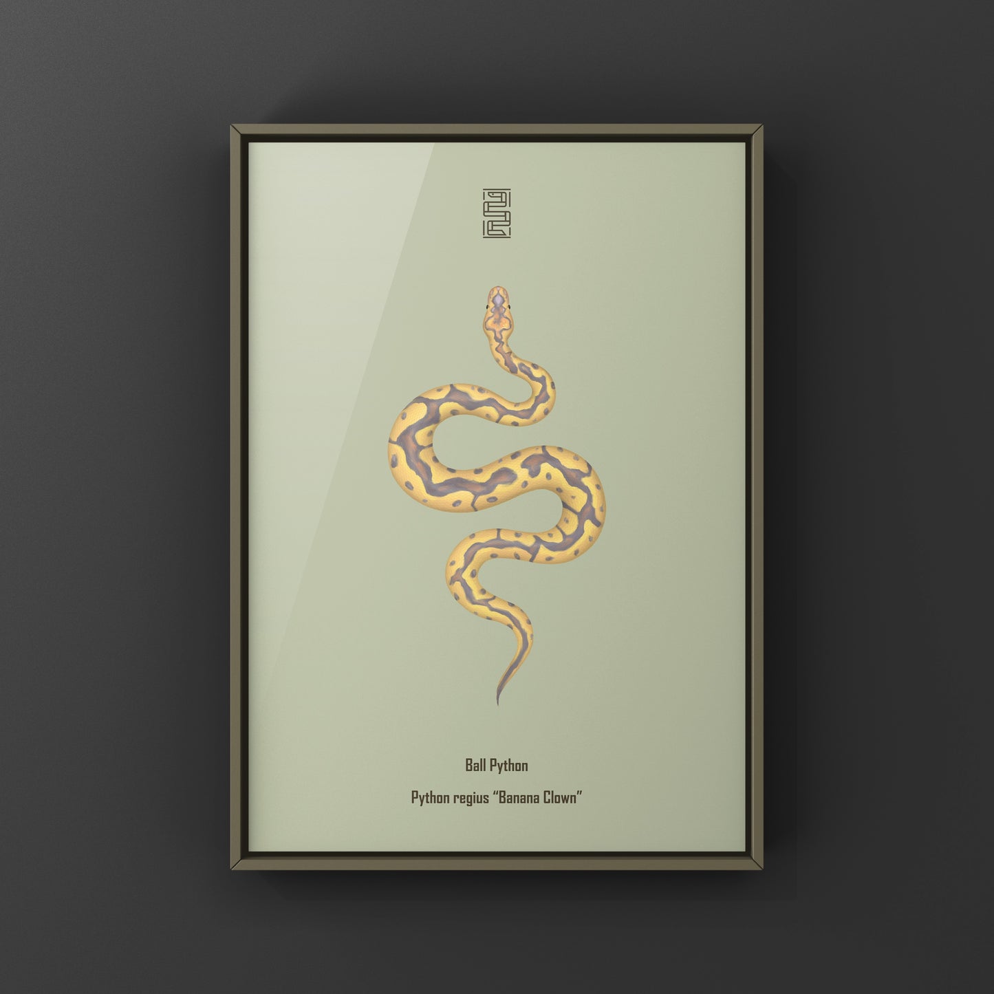 Colorful art print of a Banana Clown Ball Python (Python regius) from The Silk Ranch, showcasing vibrant snake artwork.
