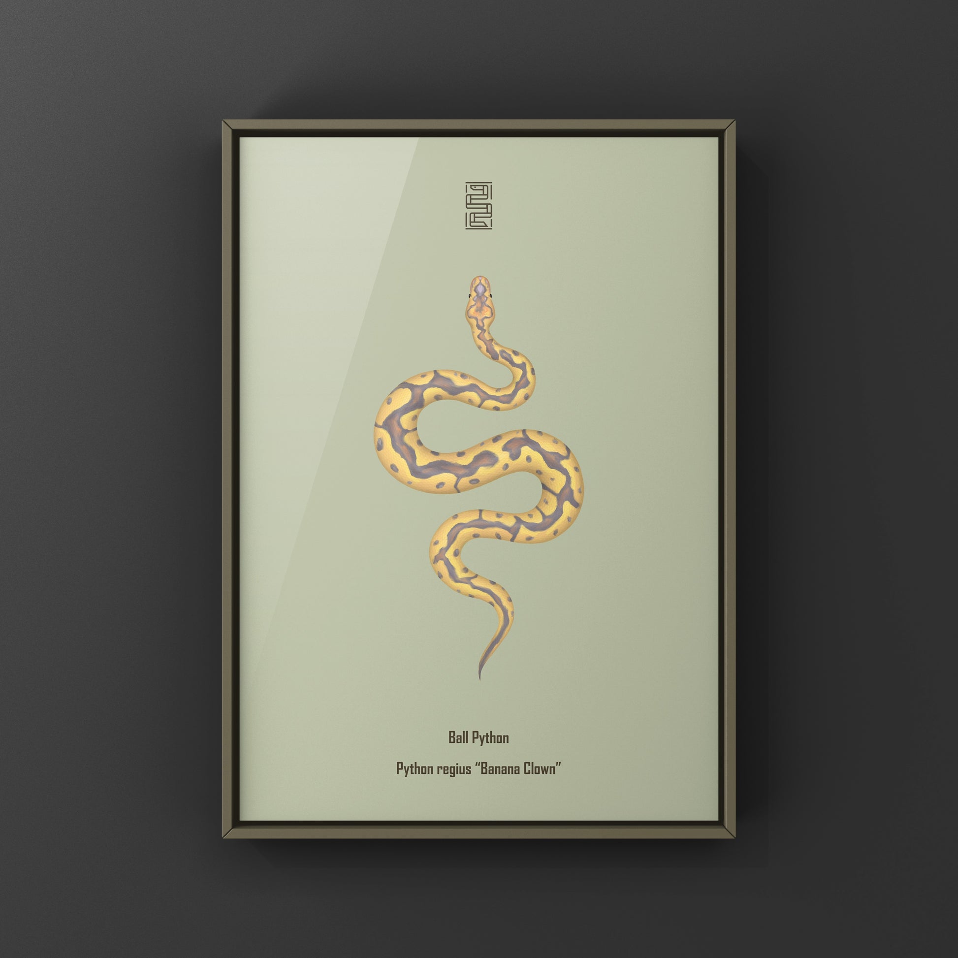 Colorful art print of a Banana Clown Ball Python (Python regius) from The Silk Ranch, showcasing vibrant snake artwork.
