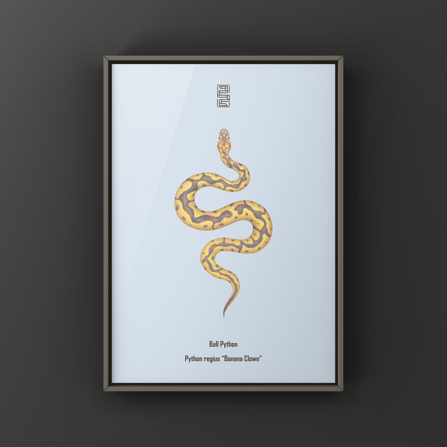 Colorful art print of a Banana Clown Ball Python (Python regius) by The Silk Ranch, showcasing vibrant snake illustration.