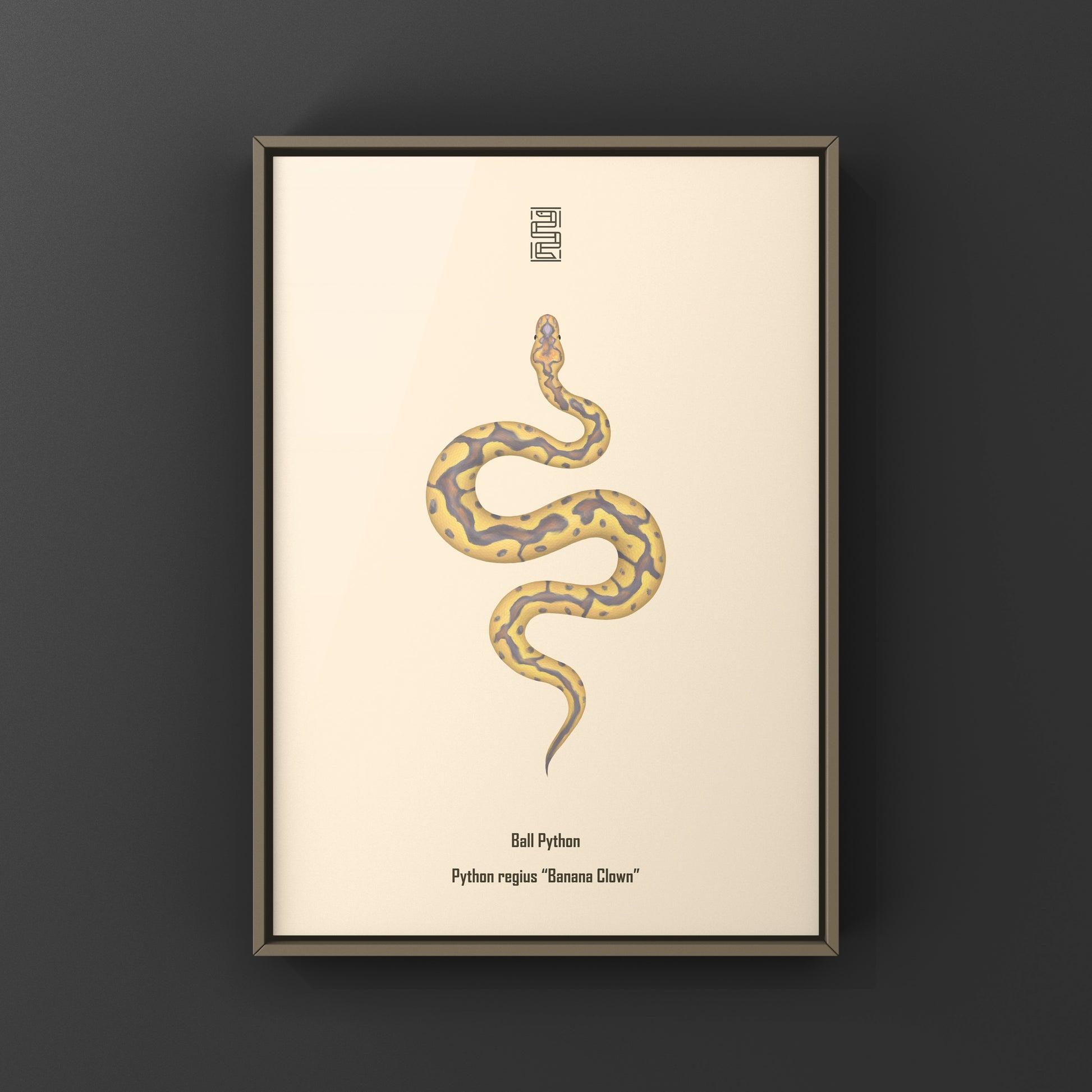 Colorful art print of a Banana Clown Ball Python (Python regius) by The Silk Ranch, showcasing vibrant snake patterns and detailed design.