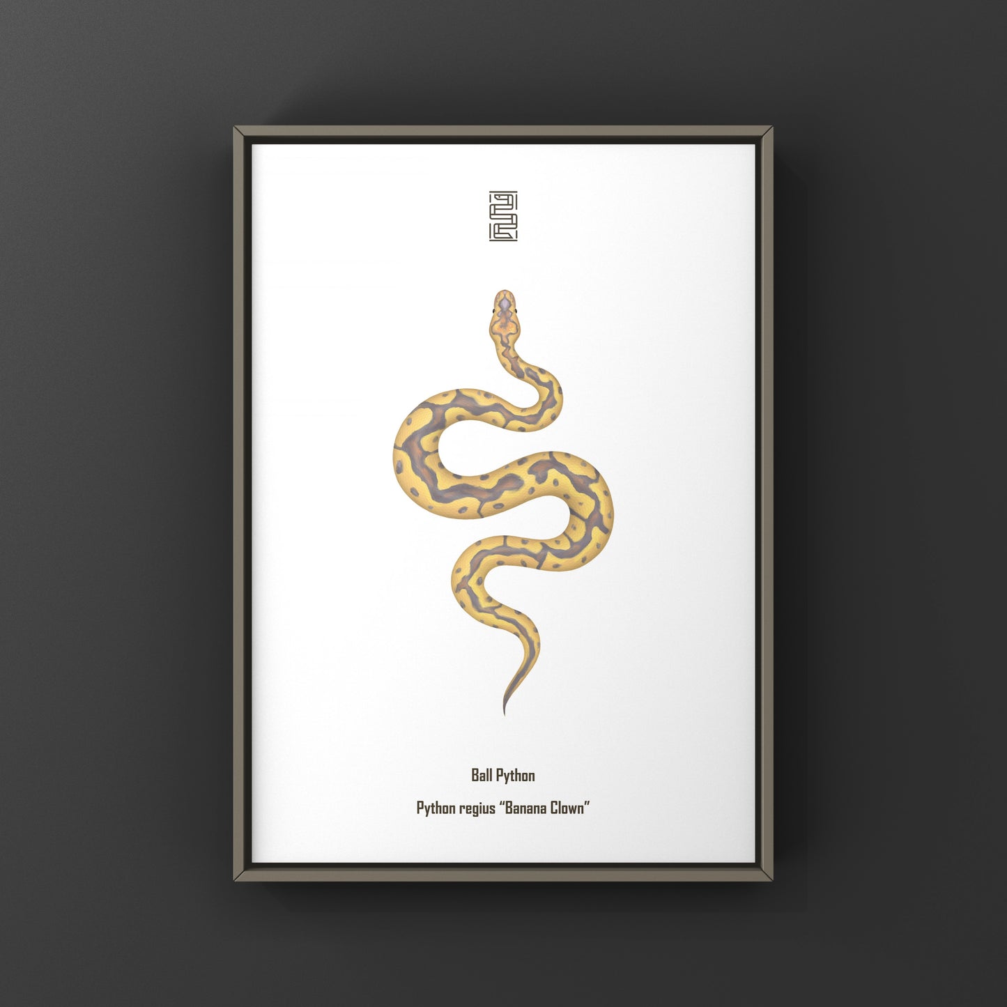 Colorful art print of a Banana Clown Ball Python (Python regius) by The Silk Ranch, showcasing detailed snake illustration.