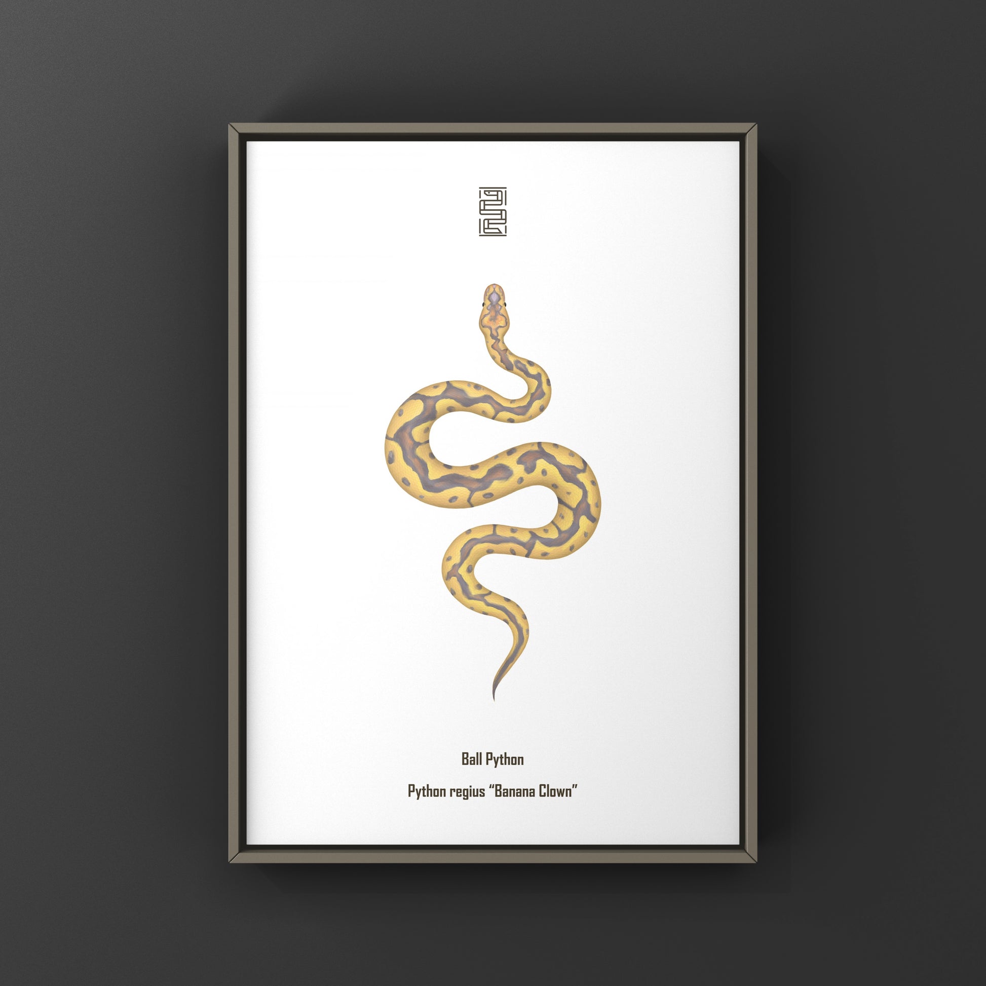 Colorful art print of a Banana Clown Ball Python (Python regius) by The Silk Ranch, showcasing detailed snake illustration.