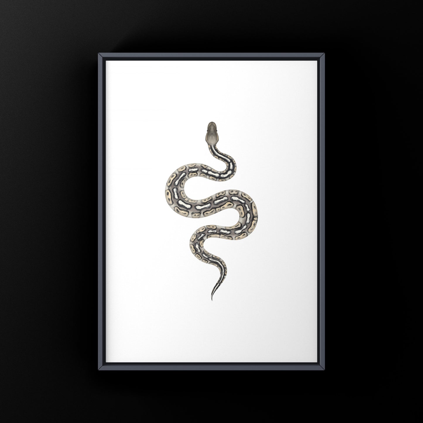 Pewter Ball Python art print featuring detailed illustration of Python regius by The Silk Ranch.