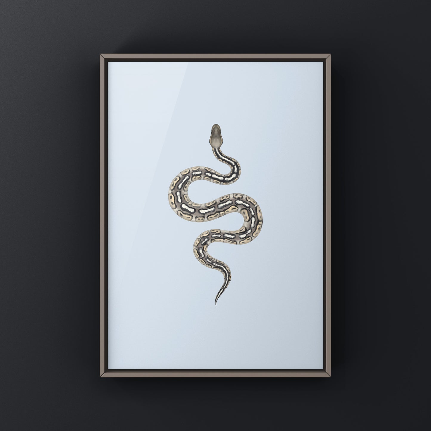 Pewter Ball Python art print by The Silk Ranch featuring detailed illustration of a Python regius on white background.