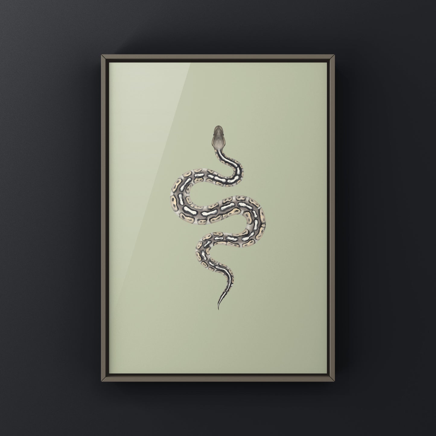 Pewter Ball Python art print showcasing detailed snake illustration on high-quality paper by The Silk Ranch.
