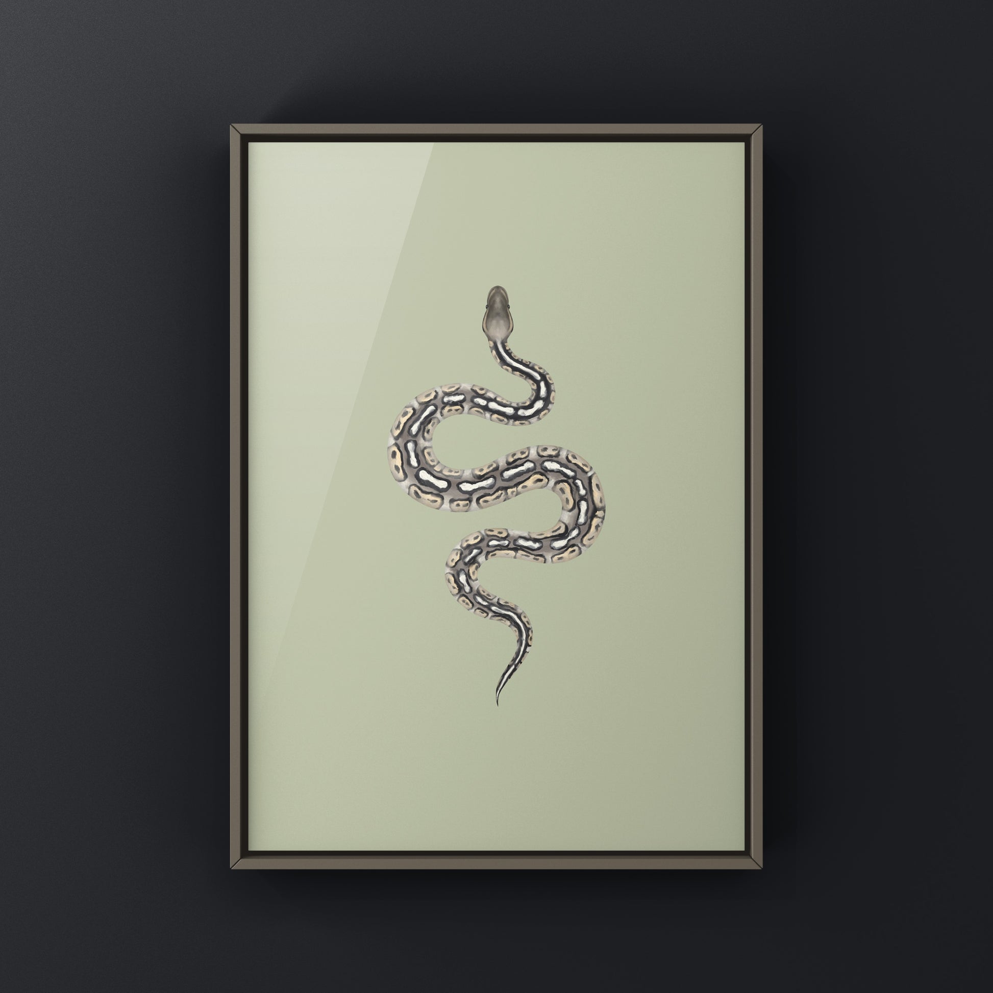 Pewter Ball Python art print showcasing detailed snake illustration on high-quality paper by The Silk Ranch.