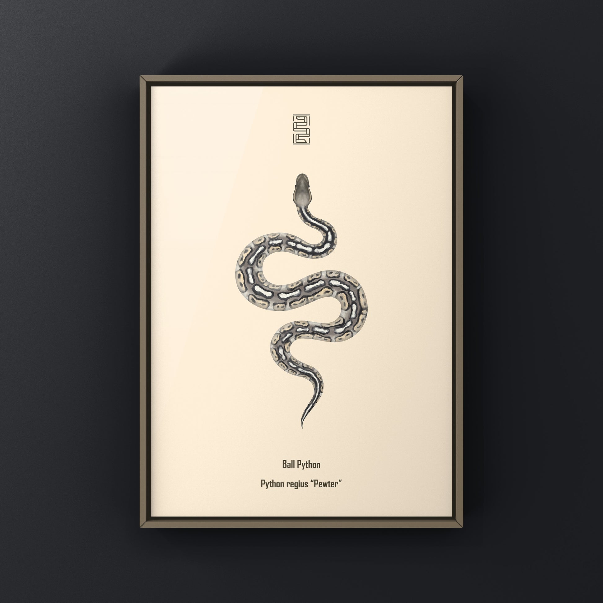 Pewter Ball Python art print showing detailed image of a Python regius snake on textured background.