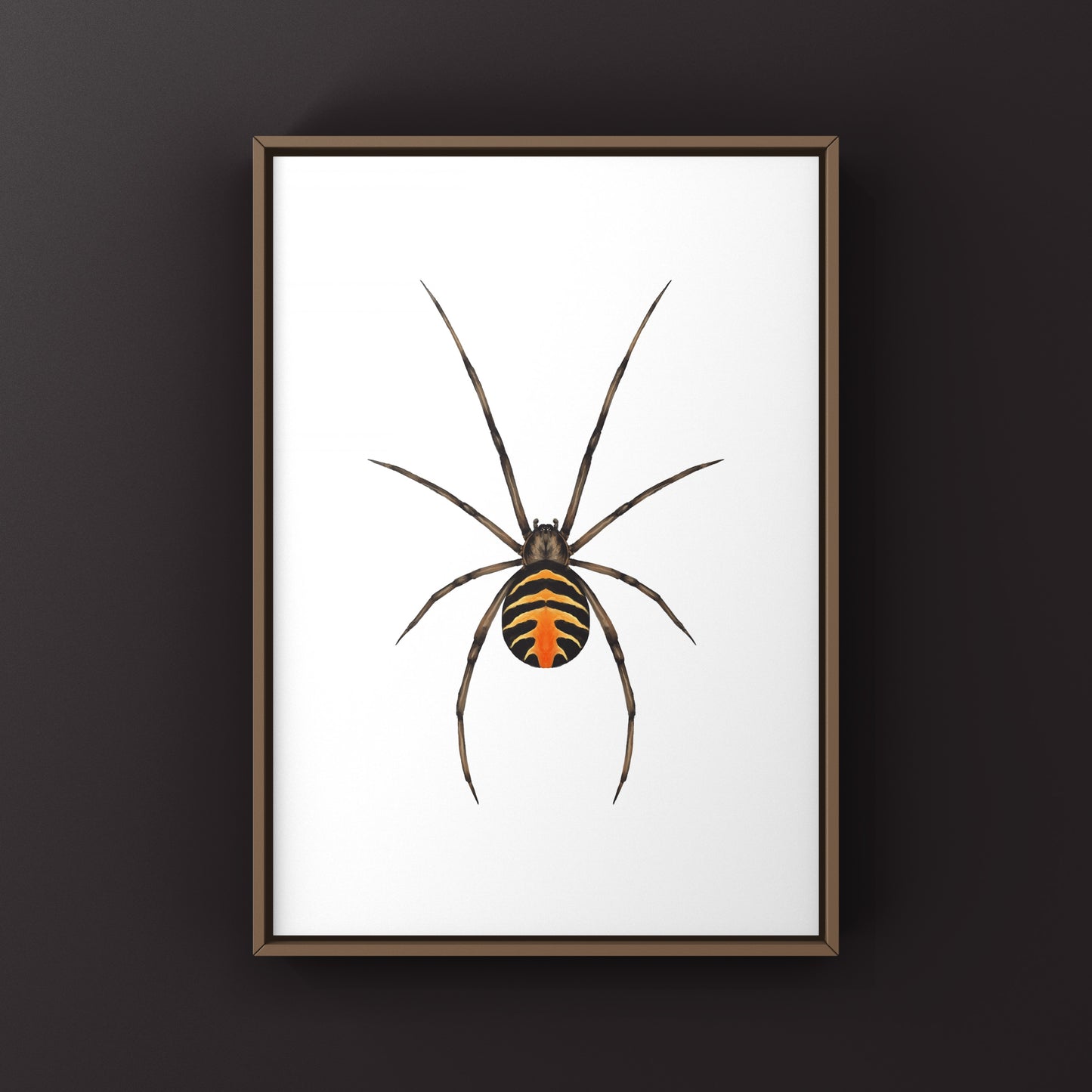 Hellfire Widow art print by The Silk Ranch featuring a detailed illustration of a Latrodectus exlaos spider on textured paper.
